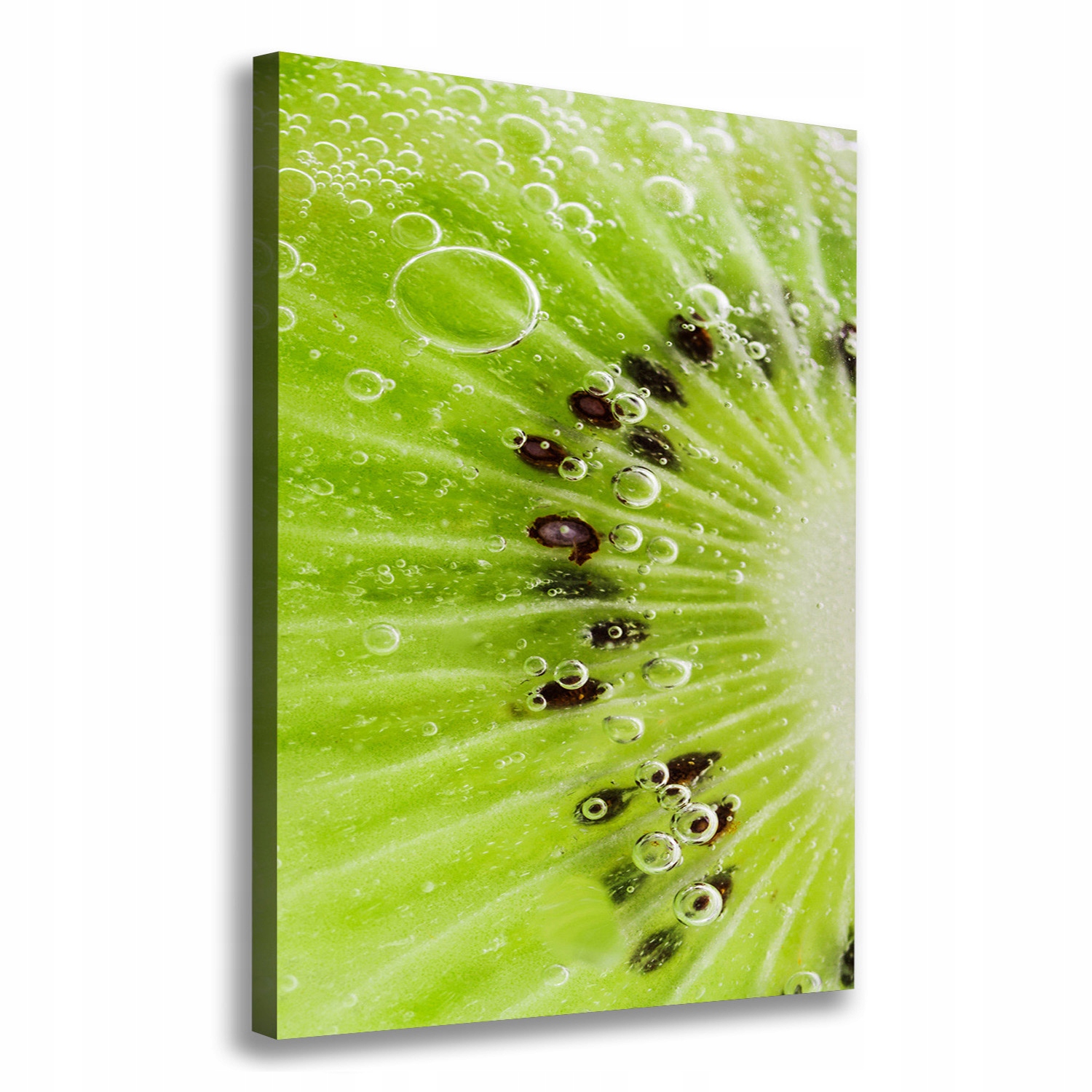 

Foto obraz drukowany na płótnie Kiwi 70x100 cm