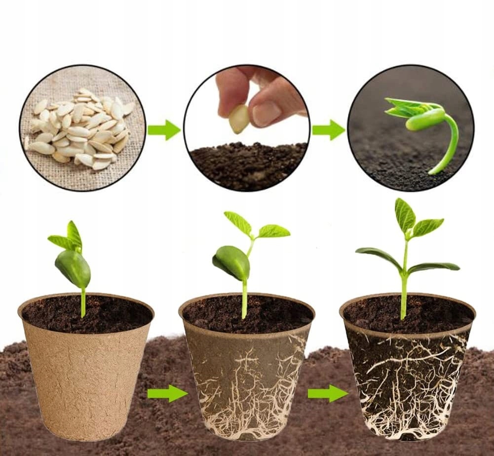 DONICZKI TORFOWE DO ROZSADY SADZONKI ROZSADOWE 6CM BIODEGRADOWALNE 120SZT Marka GardenLine