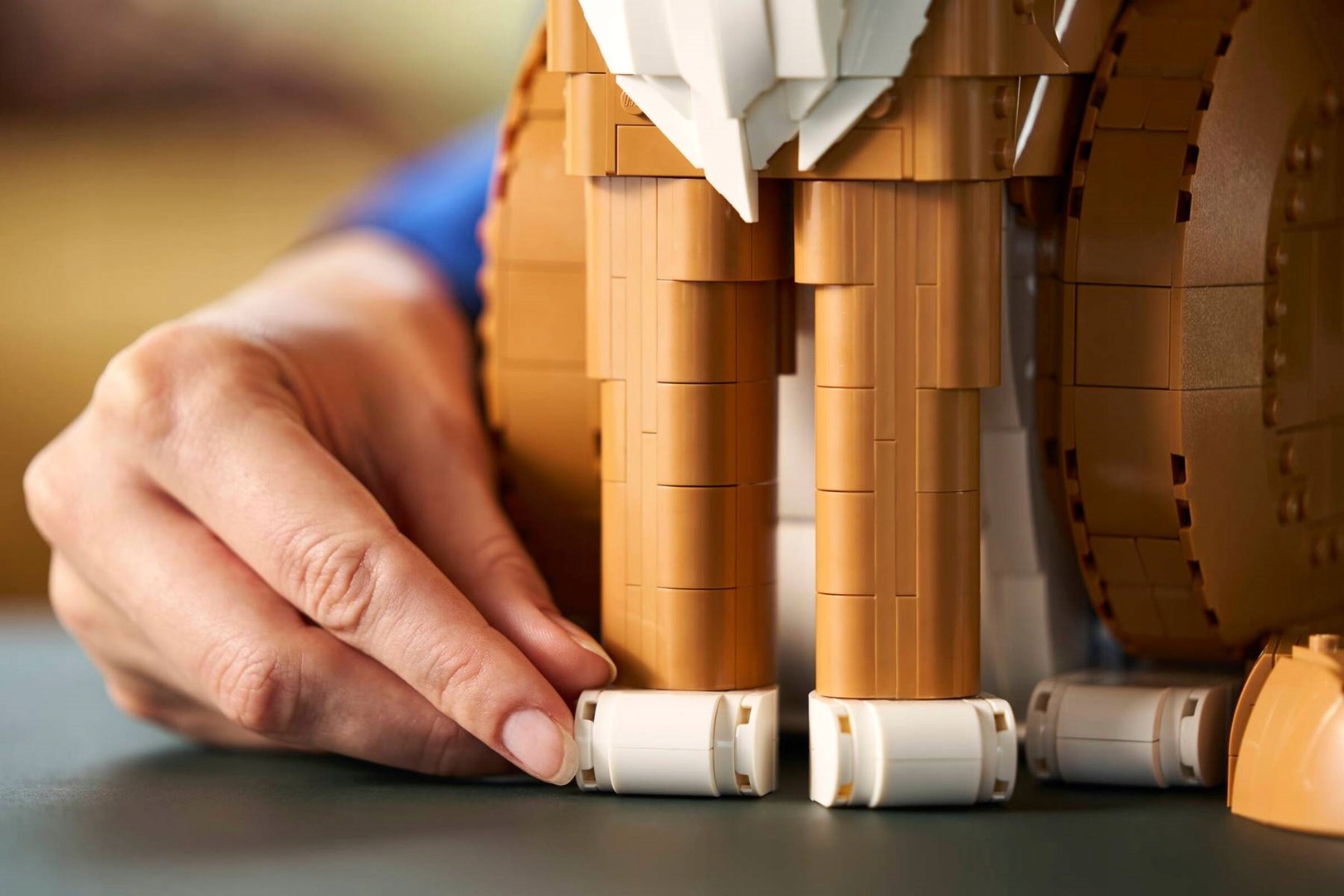 LEGO Ideas 21376 - Рудий кіт LEGO Brand