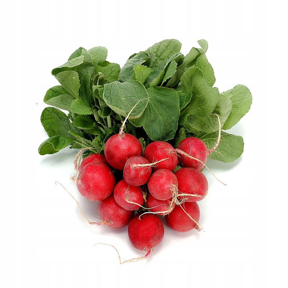 Редька свежая-1 пучок