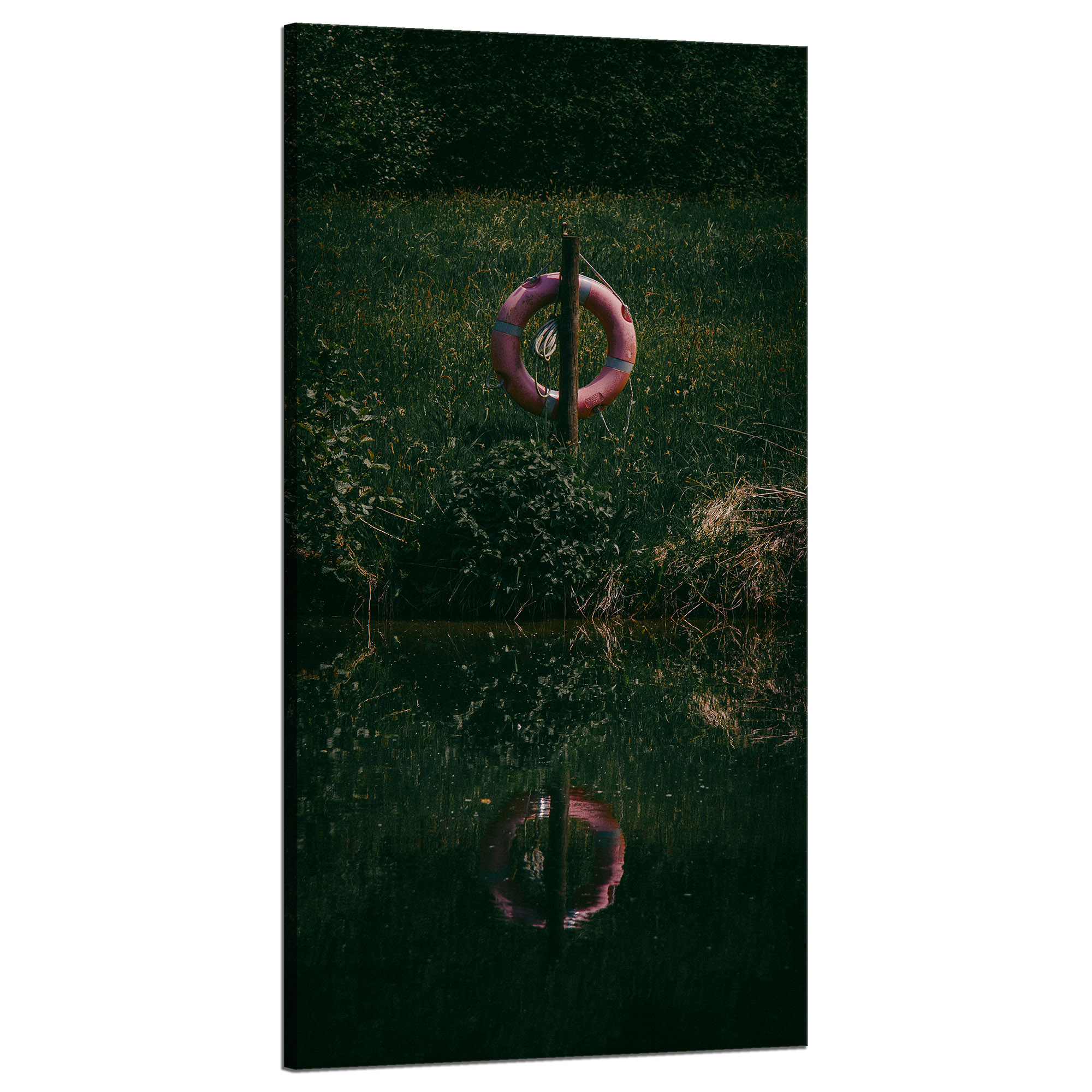 Obraz Canvas Příroda Záchranné kolo Temnota 60x120 cm