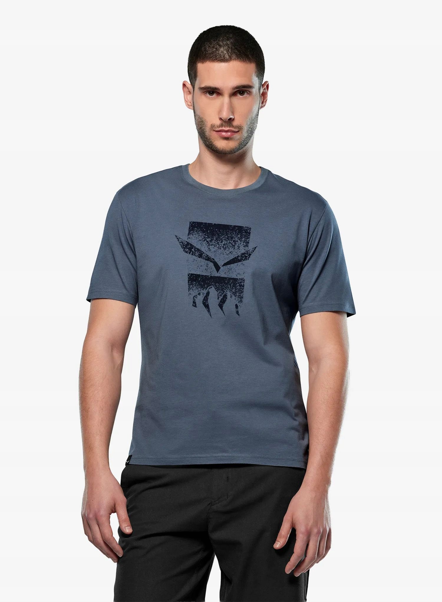Tričko s potiskem Salewa Eagle 3Cime T-Shirt java blue XXL