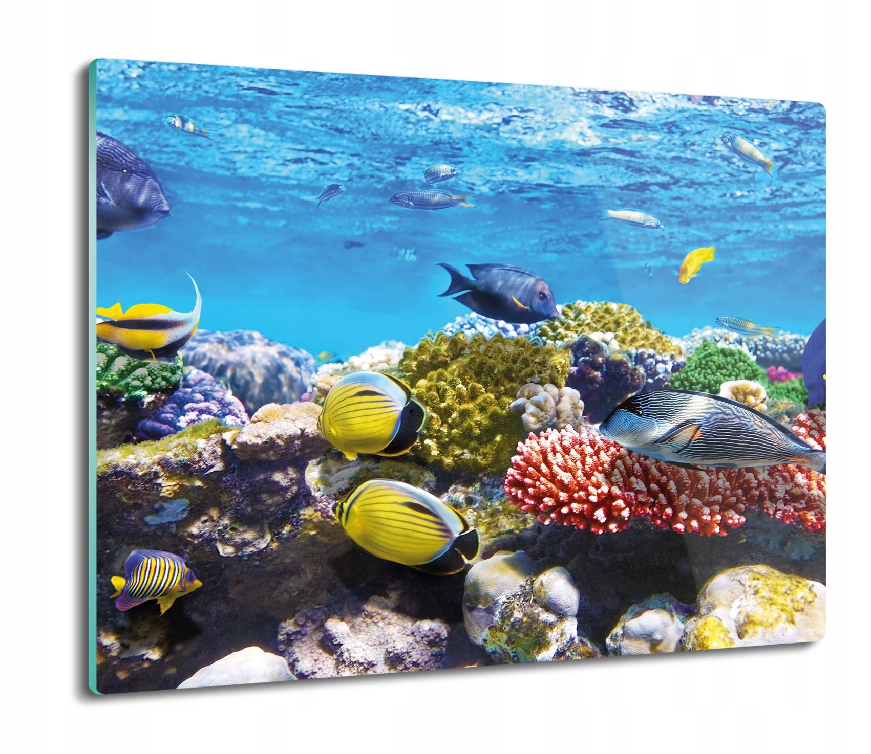 

Ryby rafa koralowa 60x52 deska kuchenna podkładka