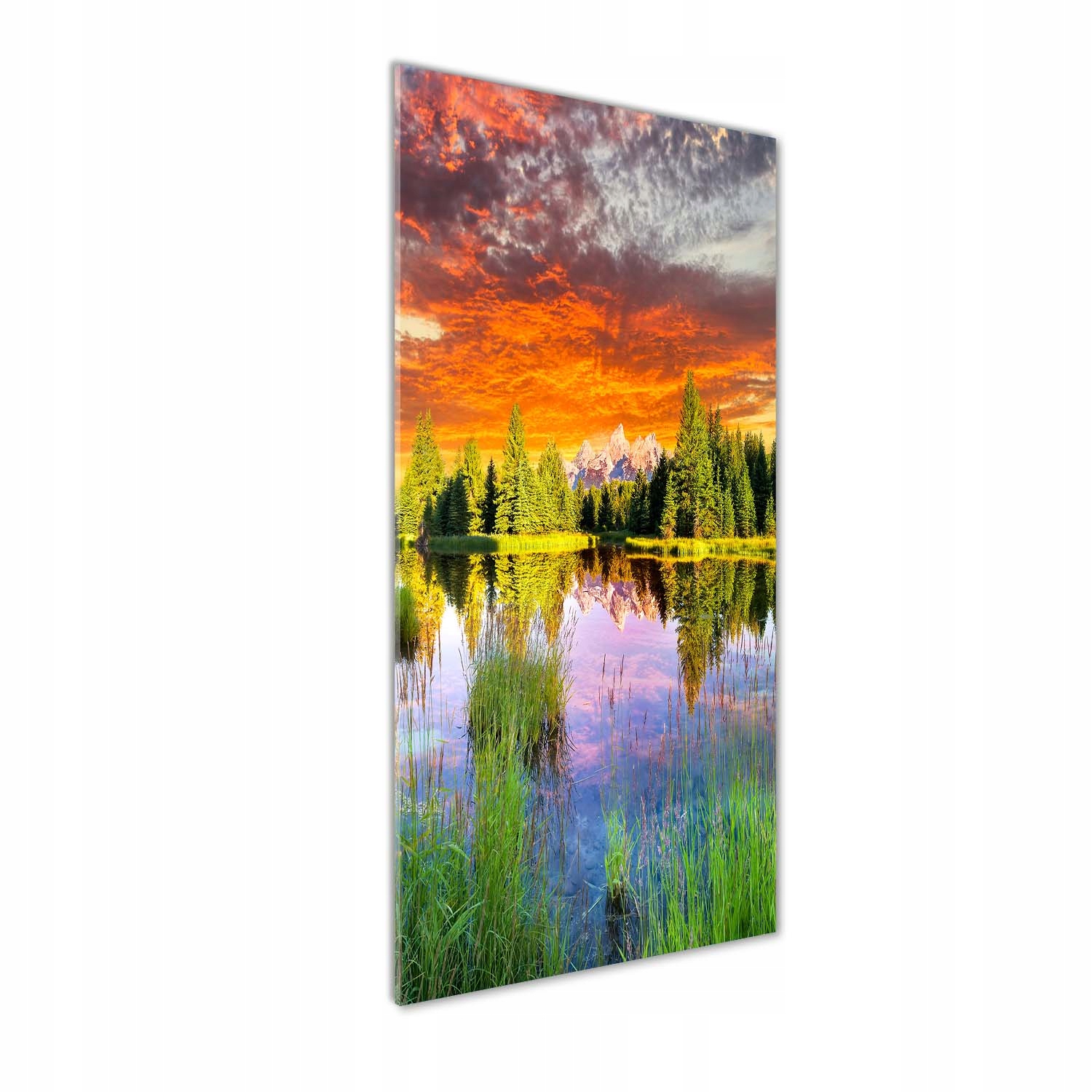 Fotoobraz na skle vertikální Jezero v lese 50x125