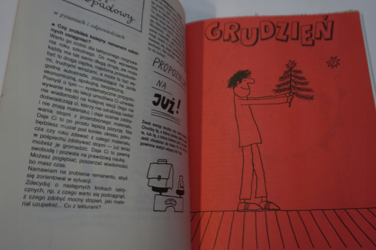 JAK OSWOIĆ LWA ? WANDA KOBYŁECKA BUTENKO Klasa wieloletnie