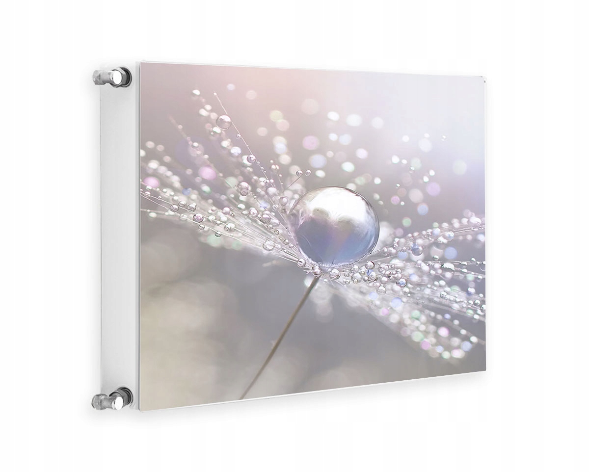 Magnetická Krytka Na Radiátor 60x60 Květiny