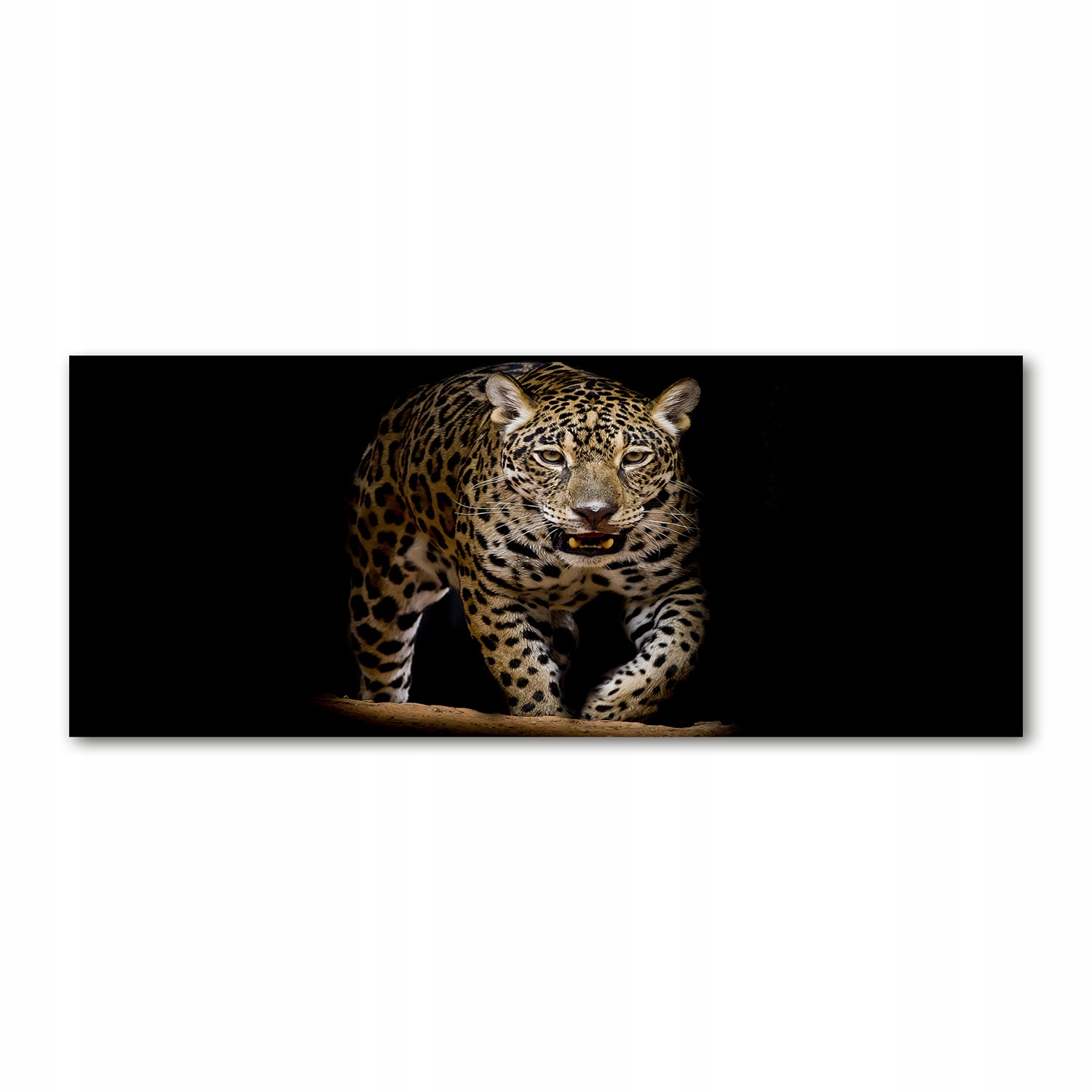 

Foto obraz duży na szkle akrylowym Jaguar 125x50cm