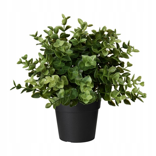 

Ikea Fejka Oregano