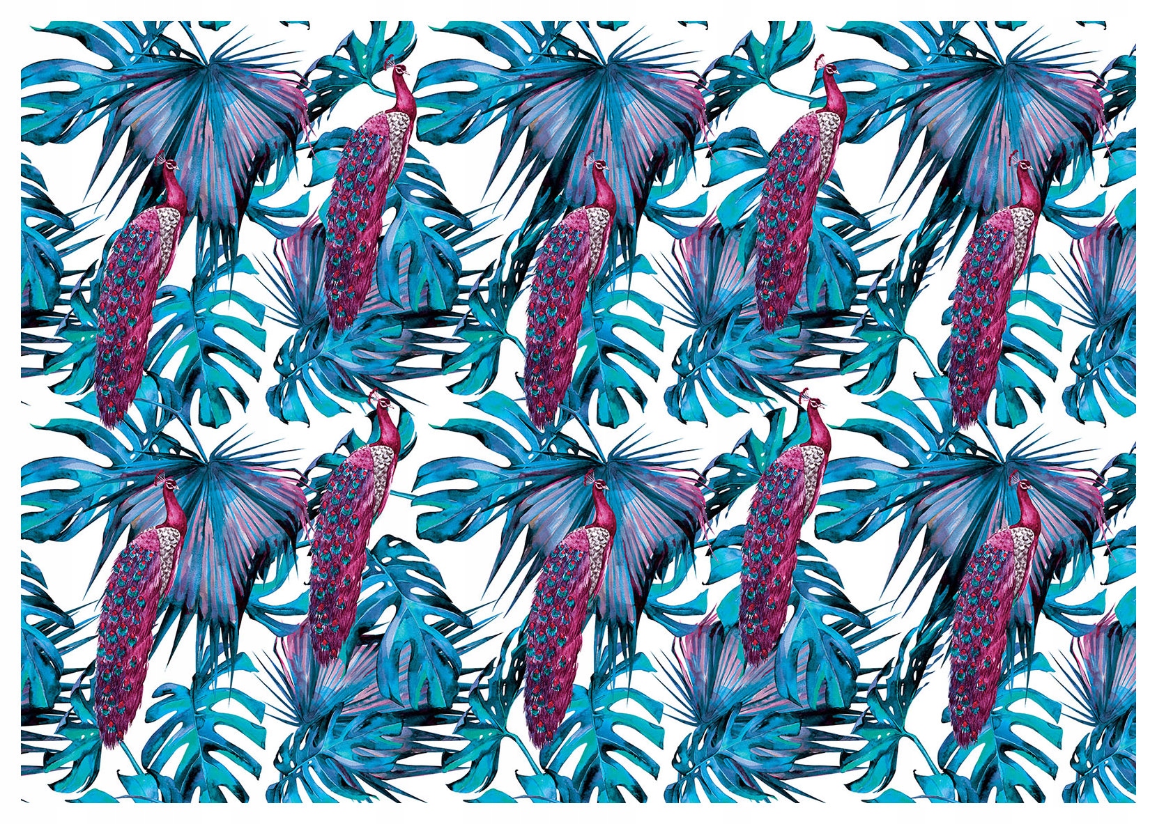 Fototapeta Pávy v trópoch modrá a ružová vinylová 368x254 lepidlo