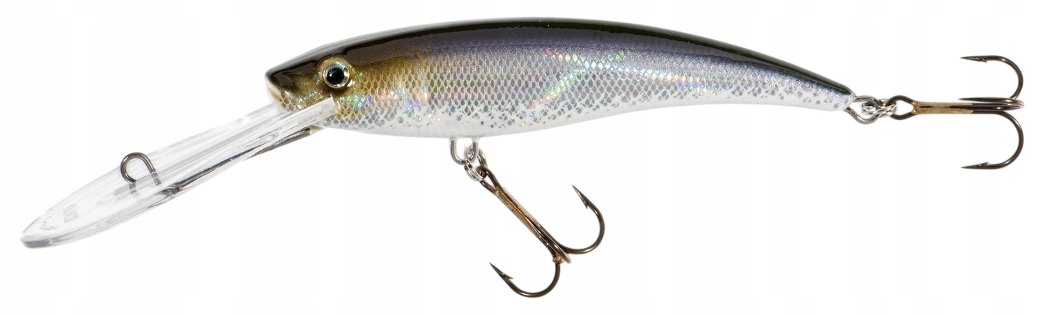 11cm 24g Diver Holo Select Wobler Jaxon Głęboko Schodzący Sumowy kolor E
