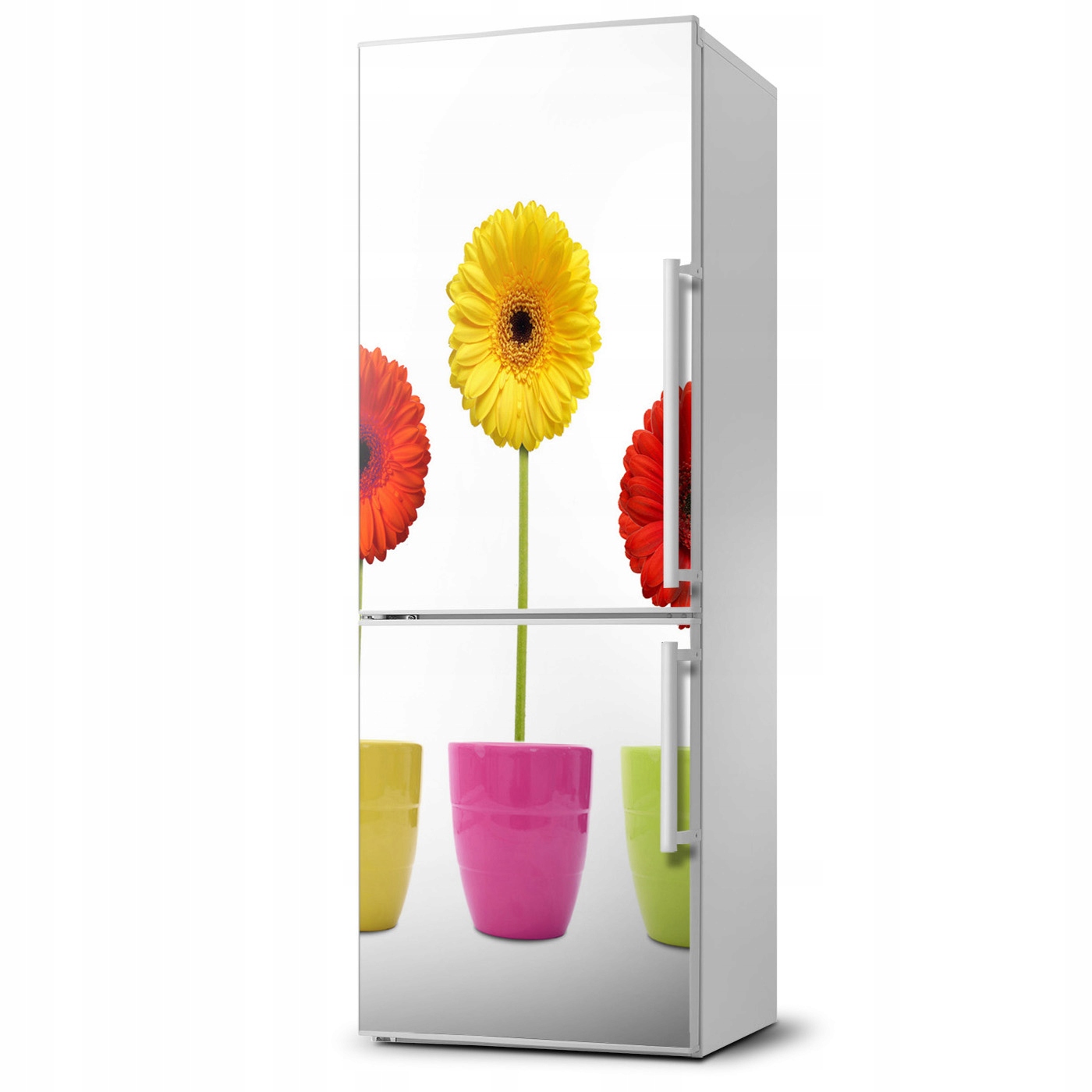 

Naklejka Magnes Magnes Kolorowe gerbery 60x180