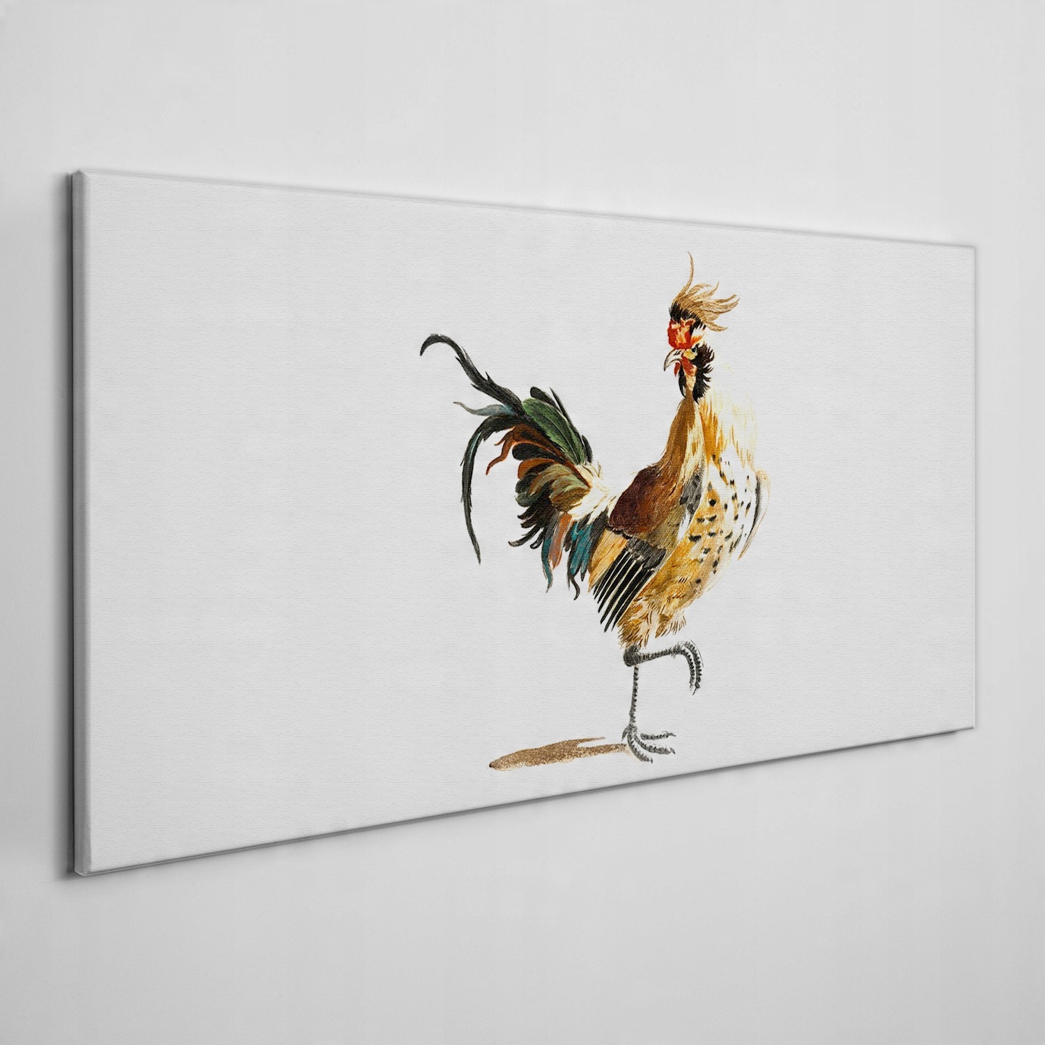 

Obraz na płótnie Zwierzę ptak kurczak 100x50 cm
