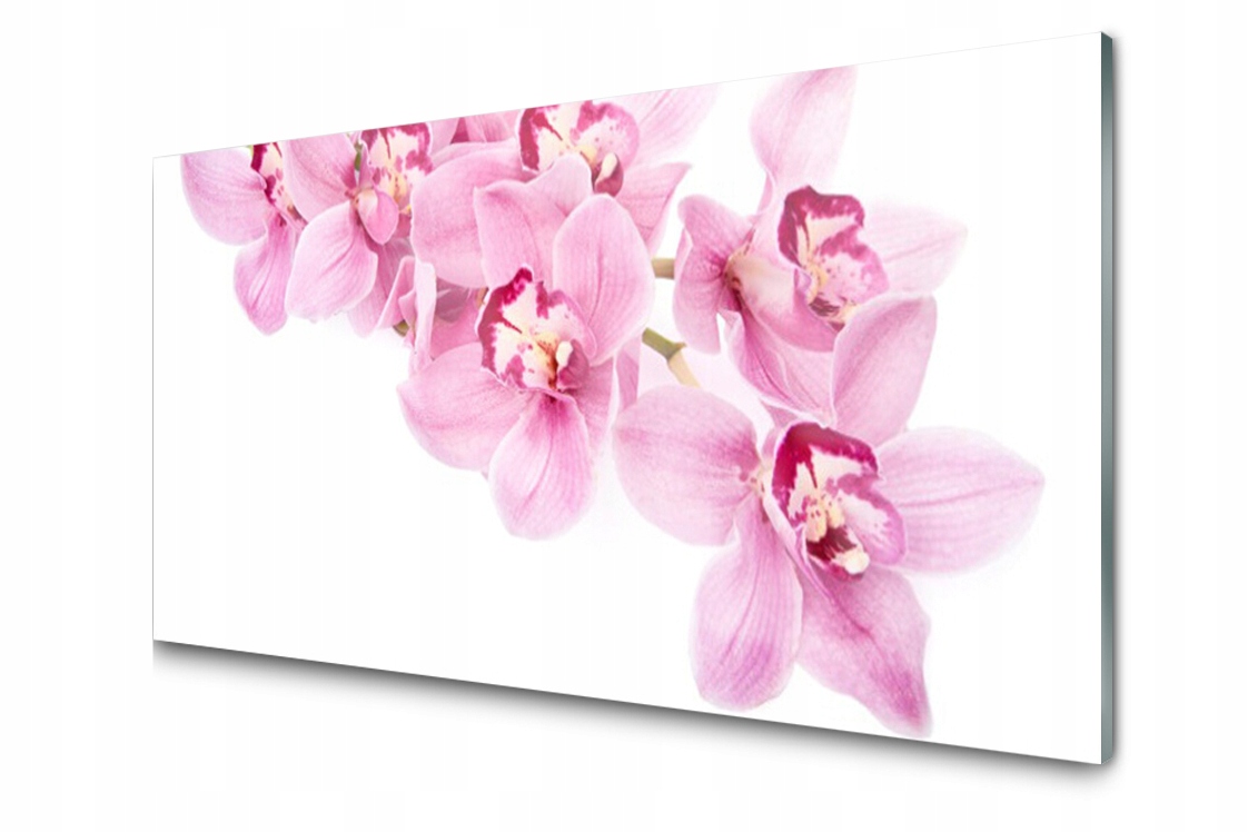 

Panel szklany Płytka Kwiaty Roślina 120x60 + Klej