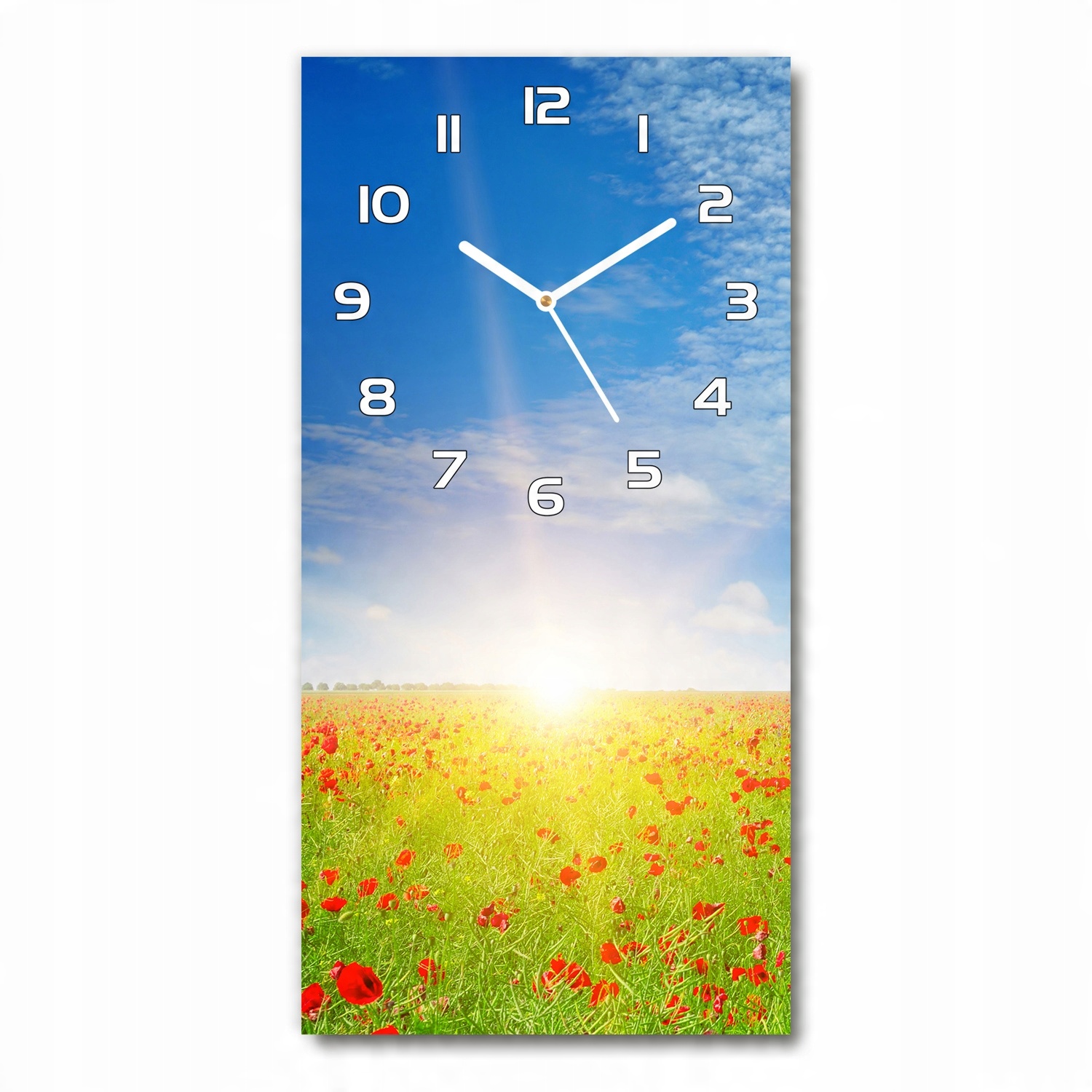 

Nowoczesny zegar ścienny Pole maków 30x60 pionowy
