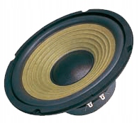 G8002-8 Głośnik 8" DBS-G8002 8 Ohm