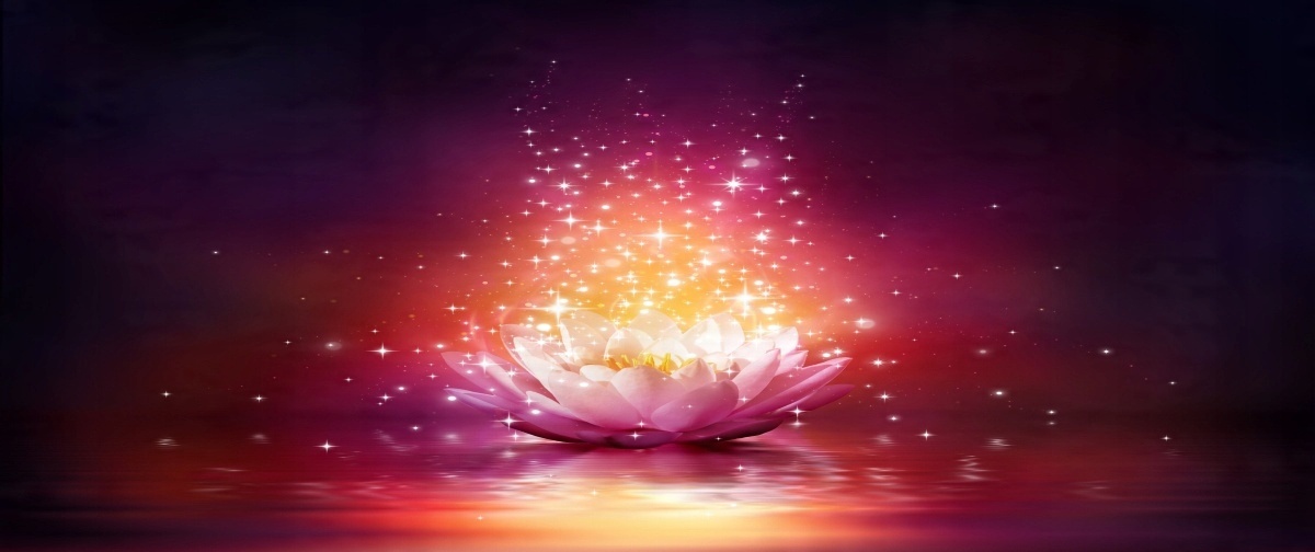 

Tapeta flizelinowa Lotus Gwiazdy 250x104
