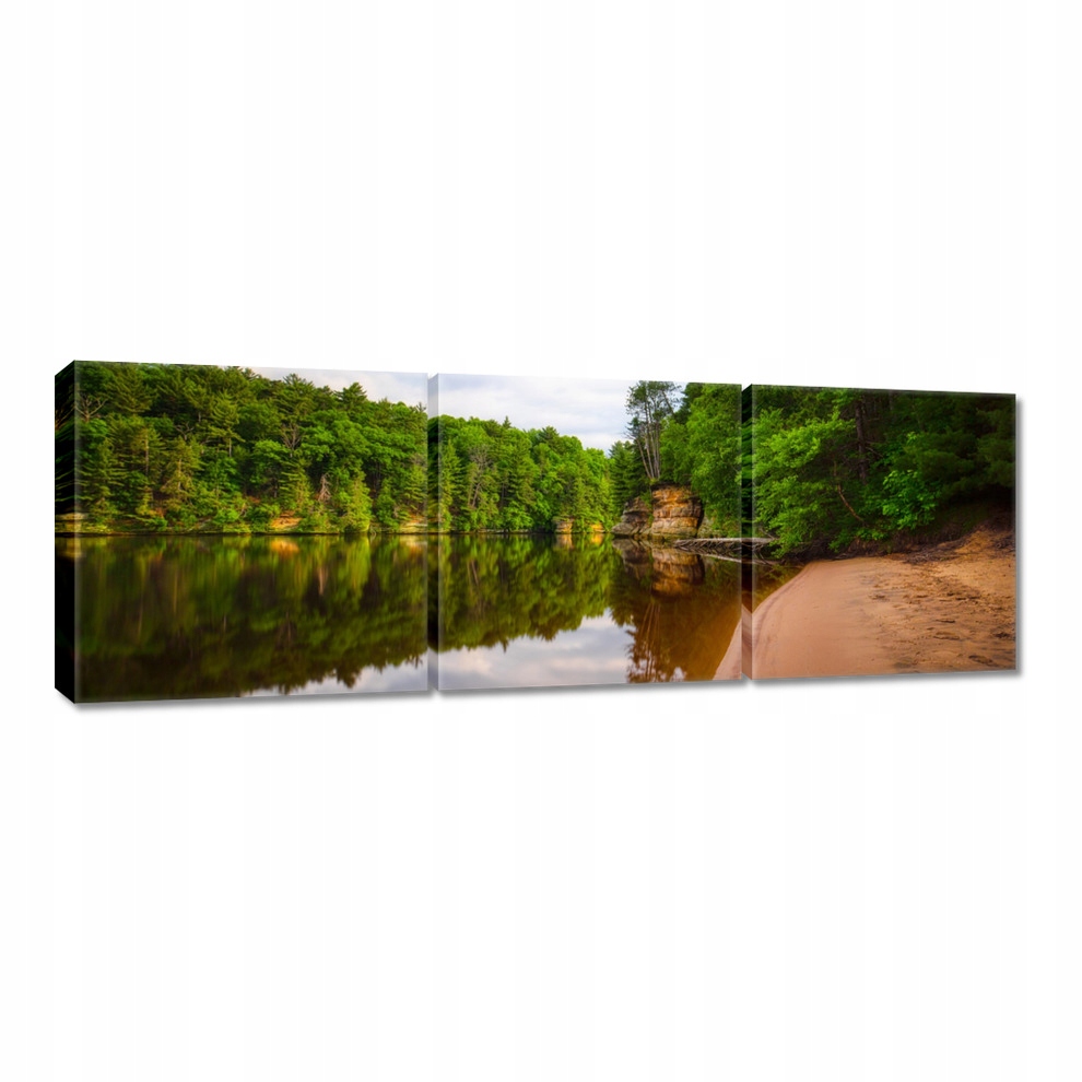 

Obrazy 60x20 Tropiki Las Jezioro Plaża