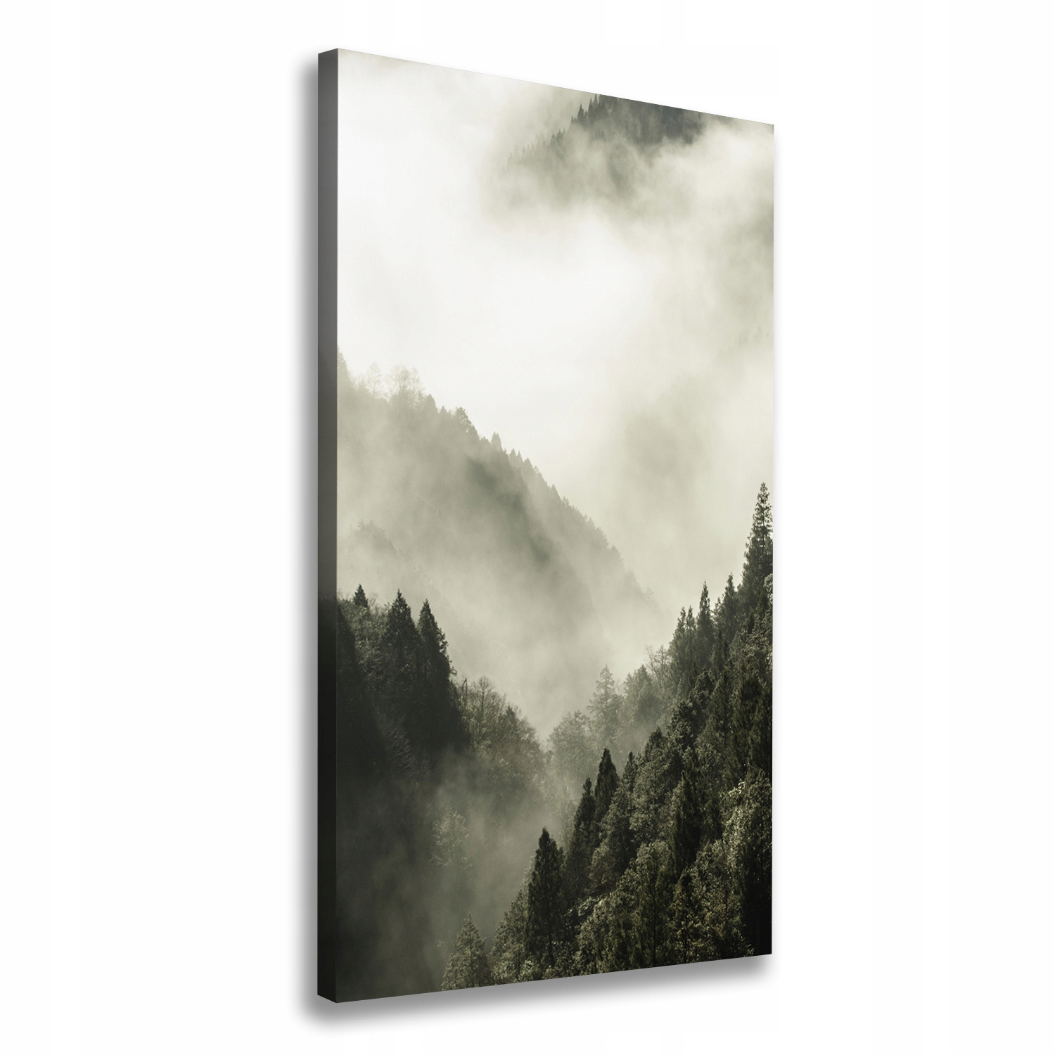 

Foto obraz na płótnie Mgła nad lasem 60x120 cm