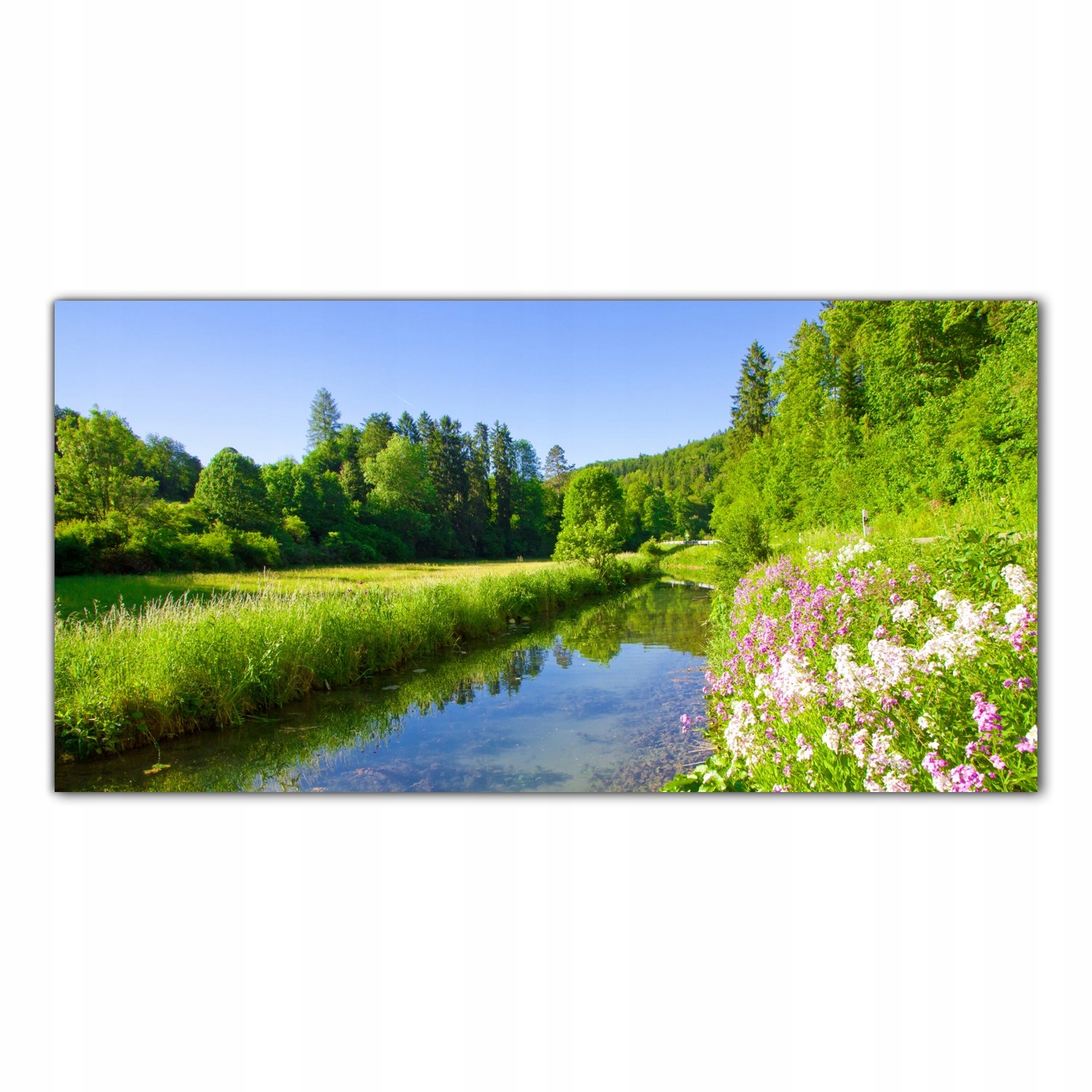 Květiny Jaro Řeka 120x60 Skleněný panel do kuchyně