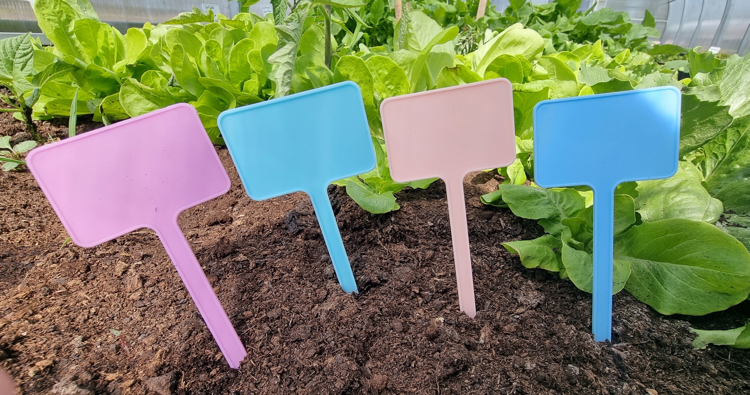 

Tabliczki do oznaczania roślin MIX kolor Pl