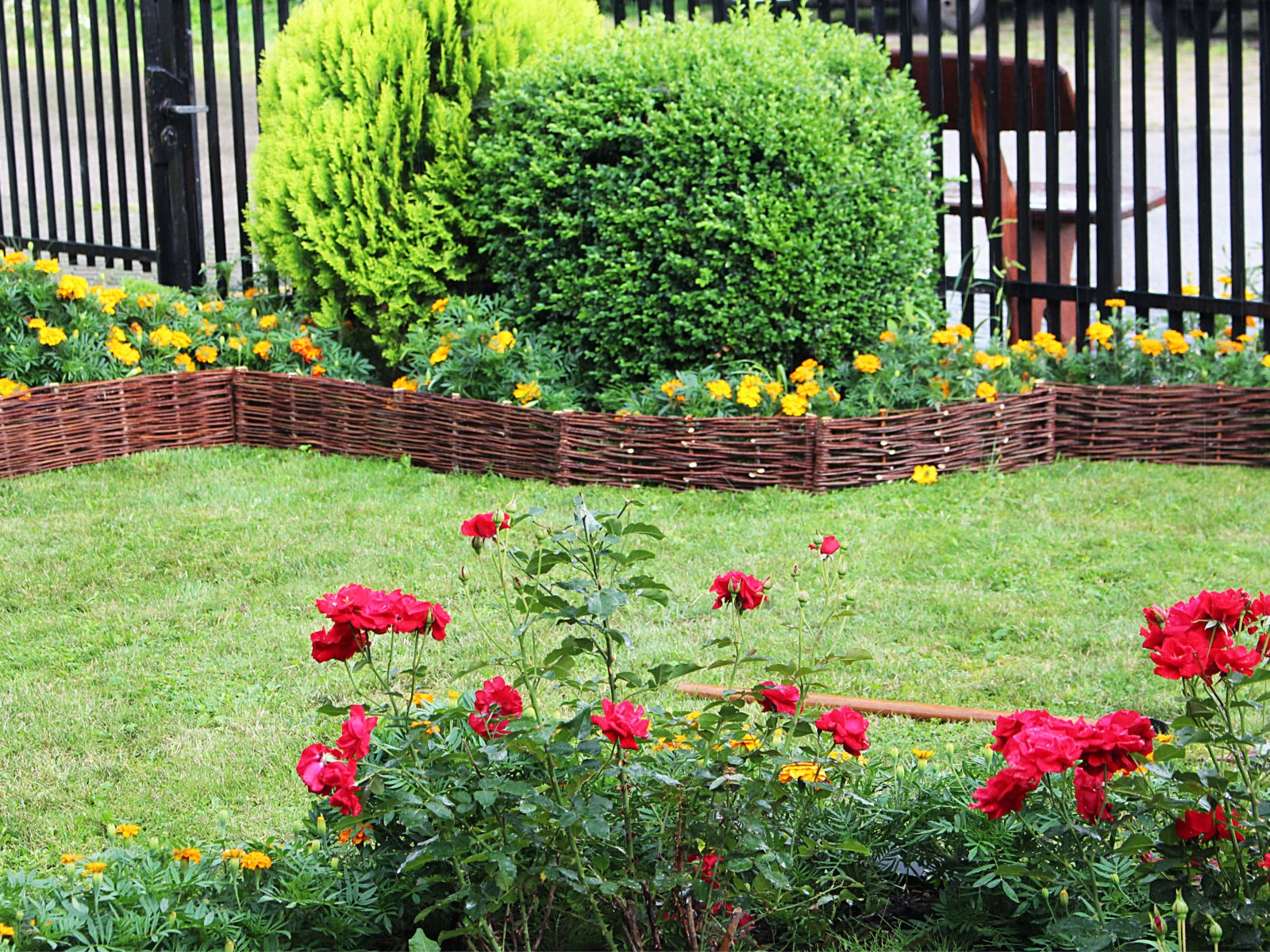 Płotek Wiklinowy - Palisada 100x30/50 Producent Kolor brązowy