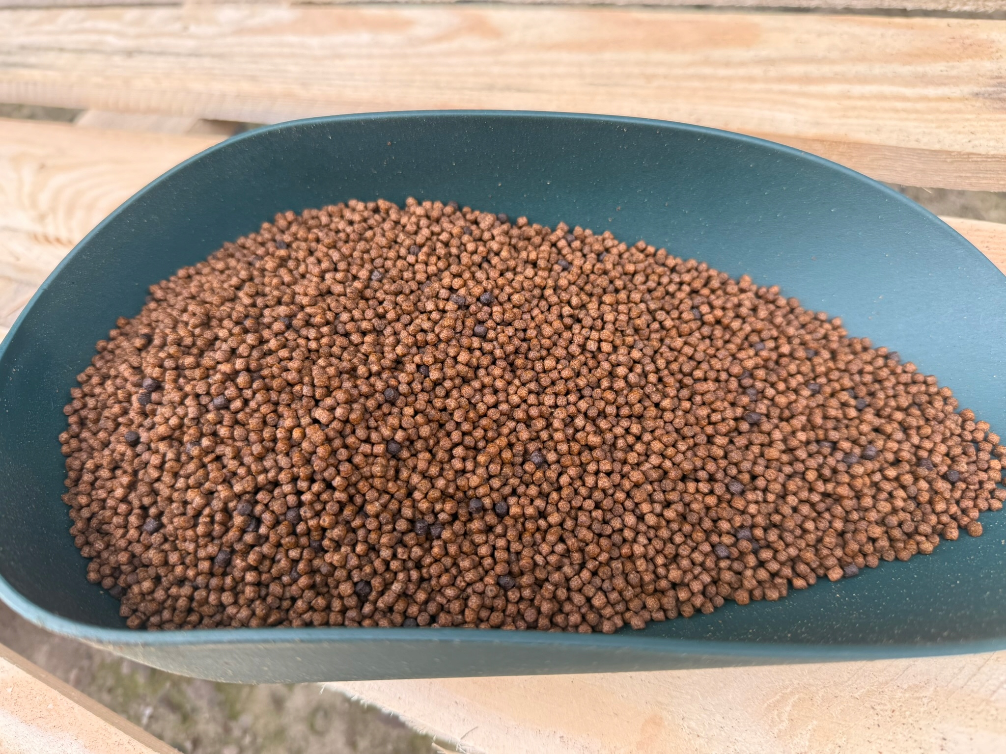 Aller Aqua Koi 3mm pływająca karma pellet karpiowy 1kg Koi
