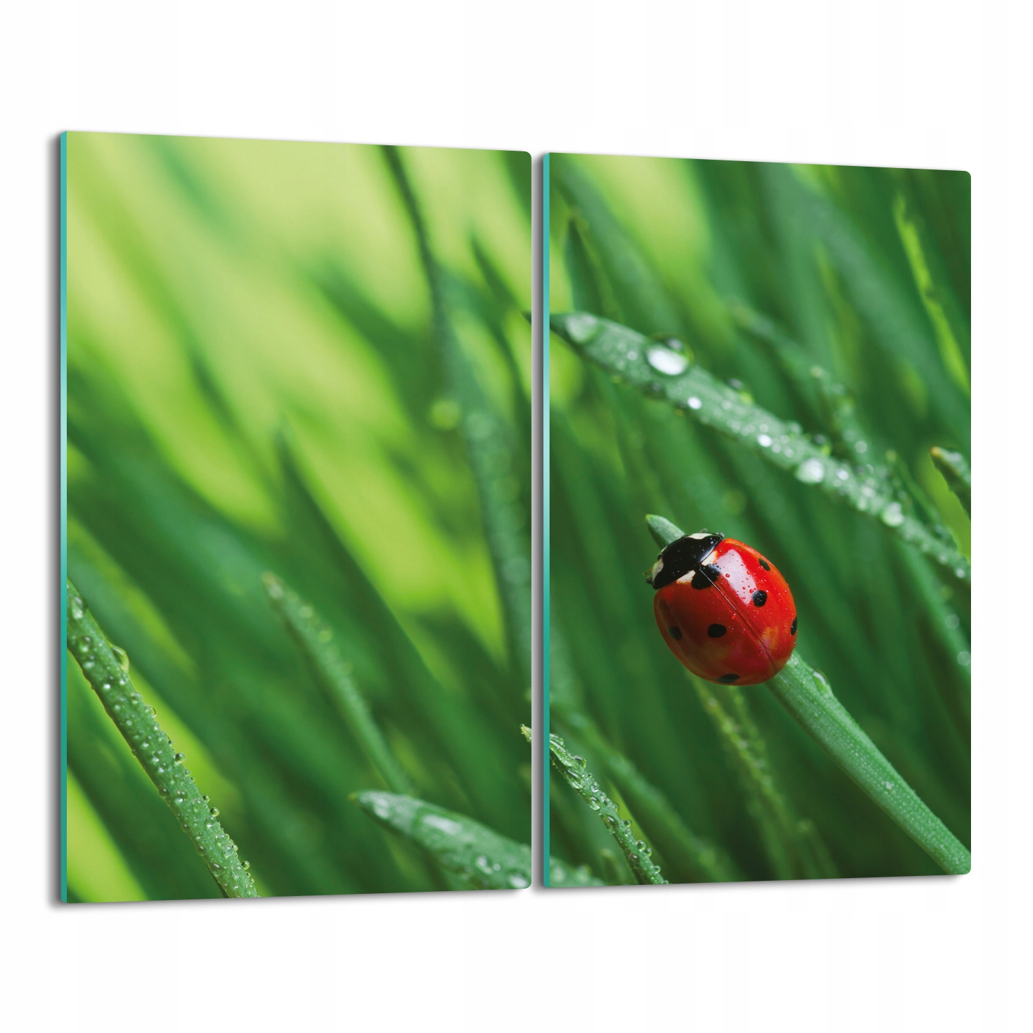 skleněná kuchyňská krytka Biedronka tráva 2x 30x52