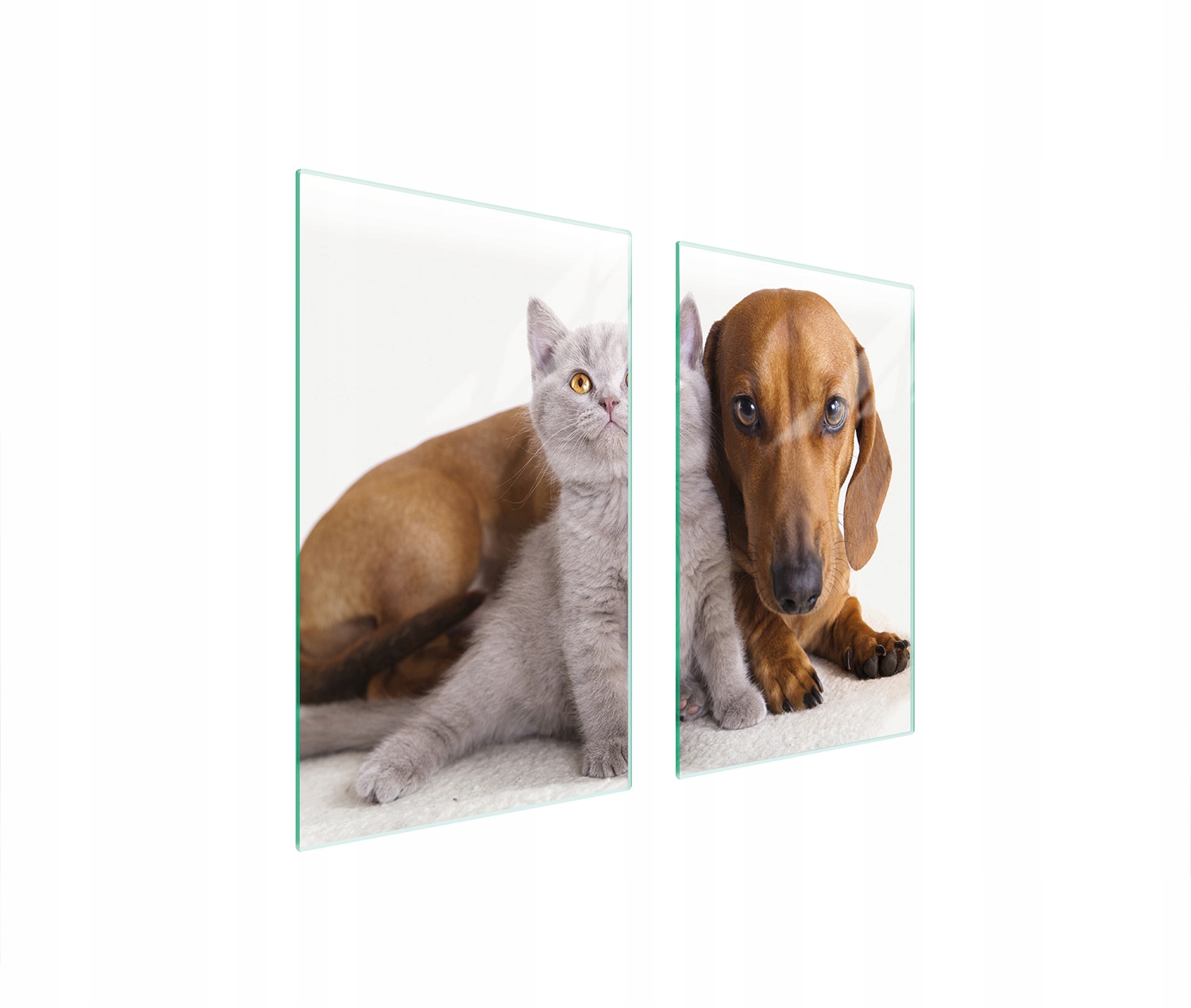 Ochranná Skleněná Deska Na Sporák 75x52 Zvířata Tvrzené Sklo