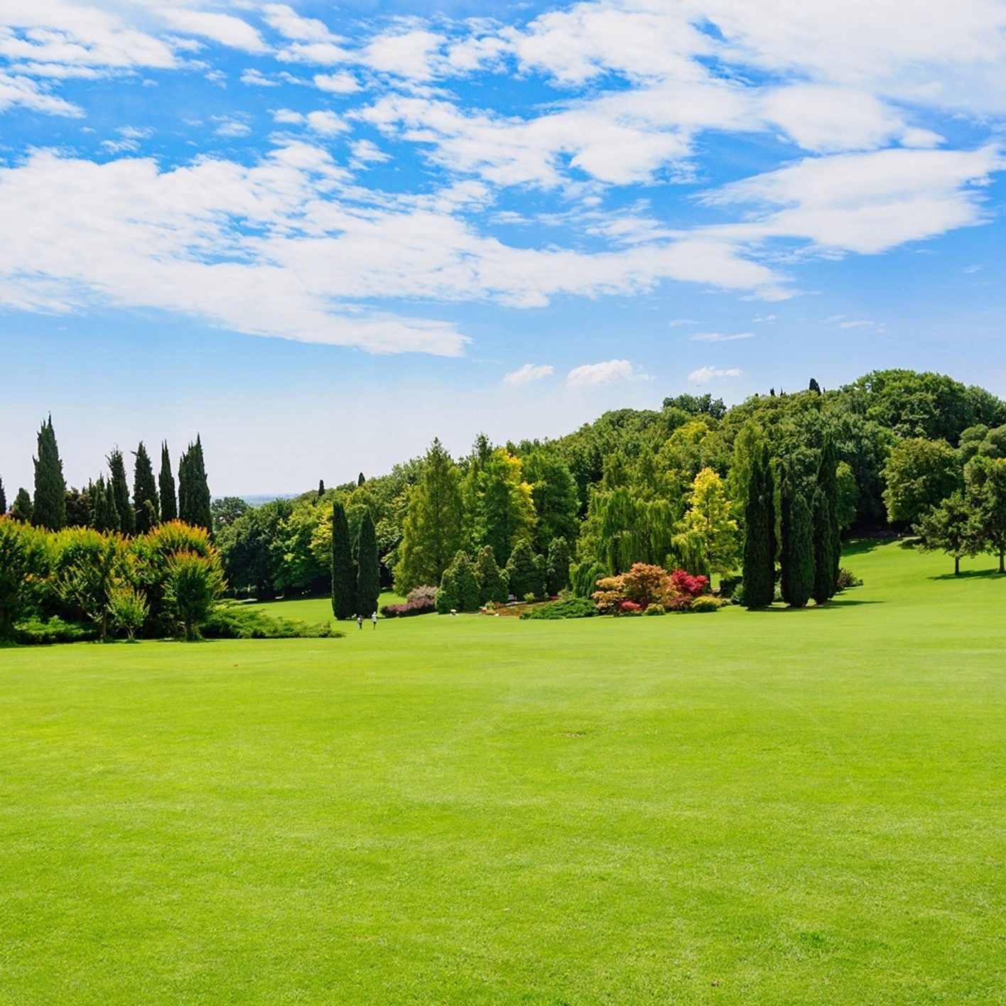 Niwelator terenu ręczny 90cm x 30 cm + Trzonek aluminiowy Długość narzędzia 91 cm