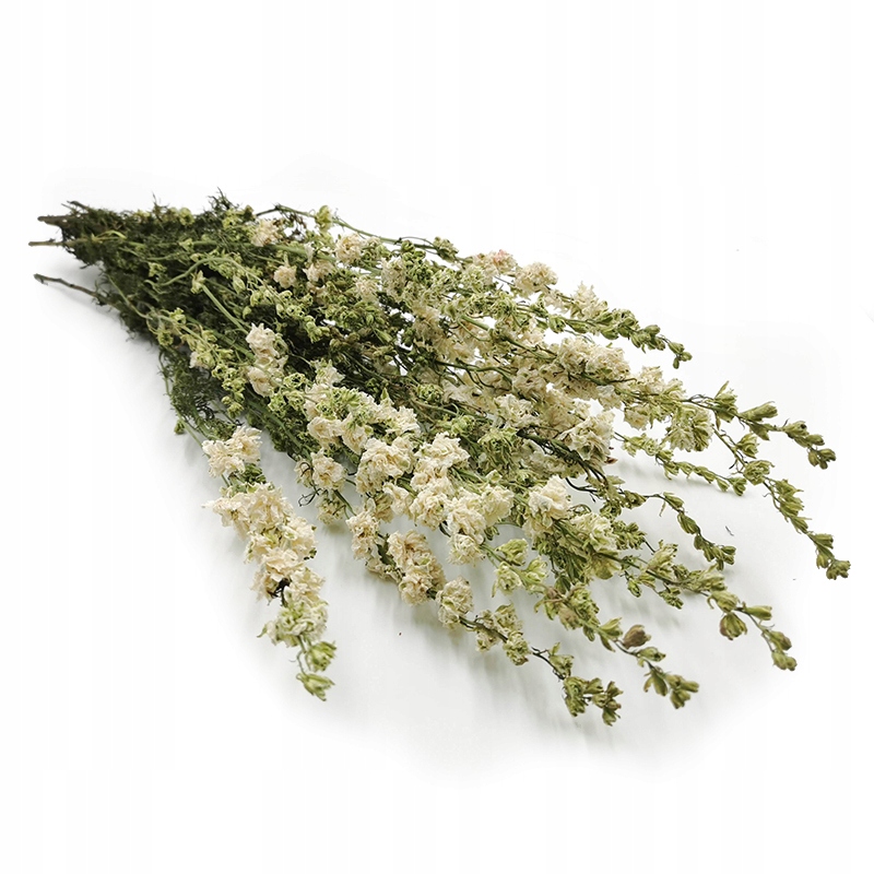 

Ostróżka Biala -Delphinium rośliny suszone