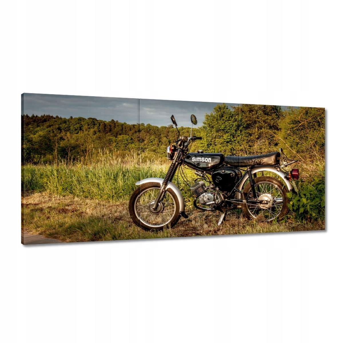 Obrazy 210x100 Čierny Simson štvorka 4