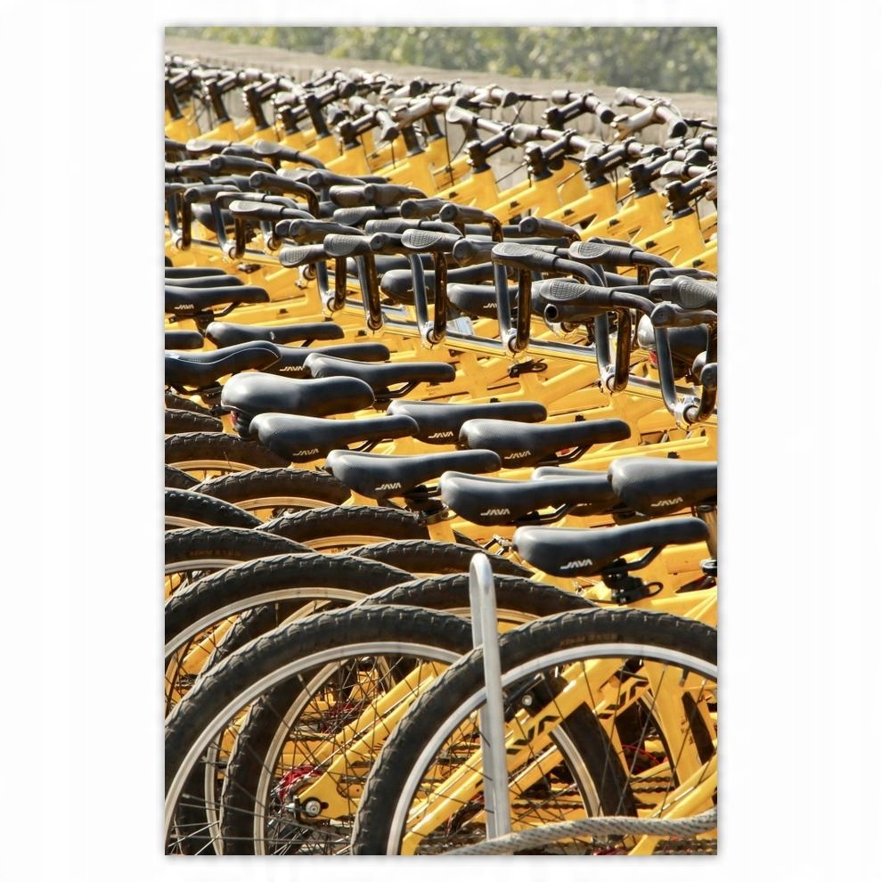 

Plakat 62x93 Rowery Rowerki Dwa Kółka