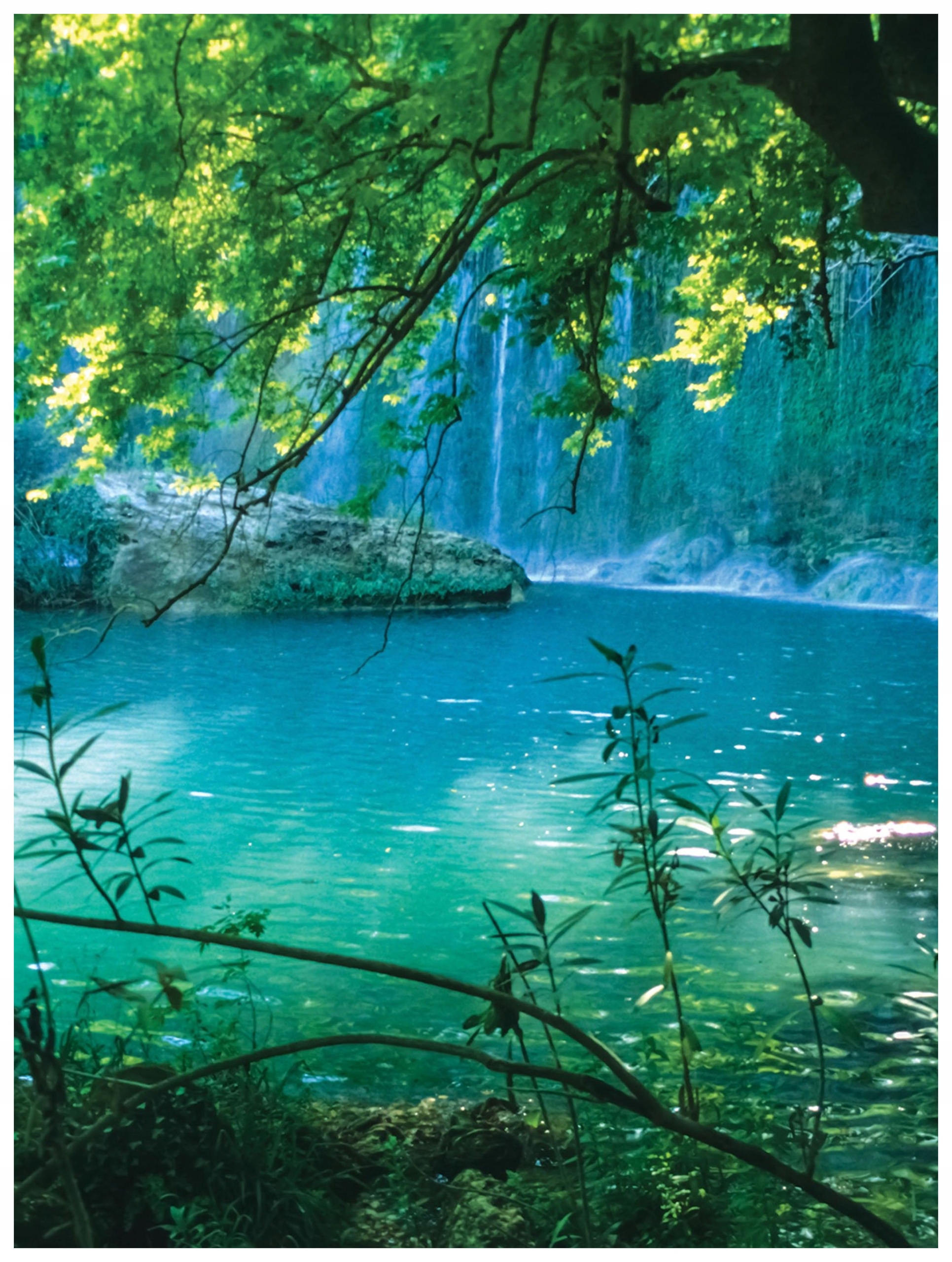 Fototapeta Vodopád Zelený vinylový raj Príroda 184x254 lepidlo