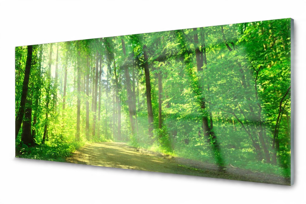 

Panel szklany do kuchni Las dróżka Drzewa 125x50