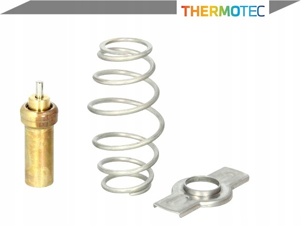 D2IV006TT - ПРОКЛАДКА ТЕРМОСТАТА [THERMOTEC]