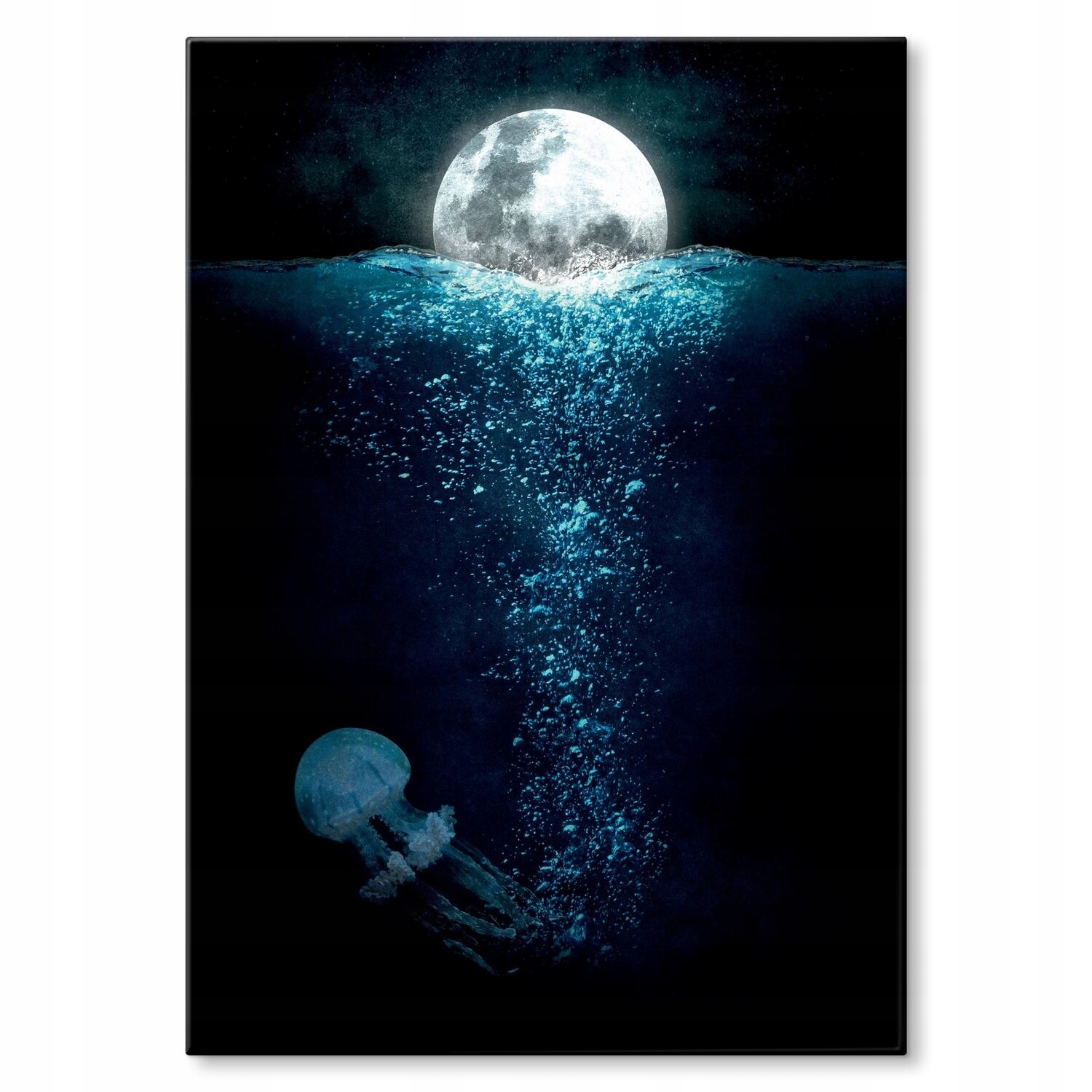 Kovový plakát Život v oceánu Dárek 42 x 59 cm