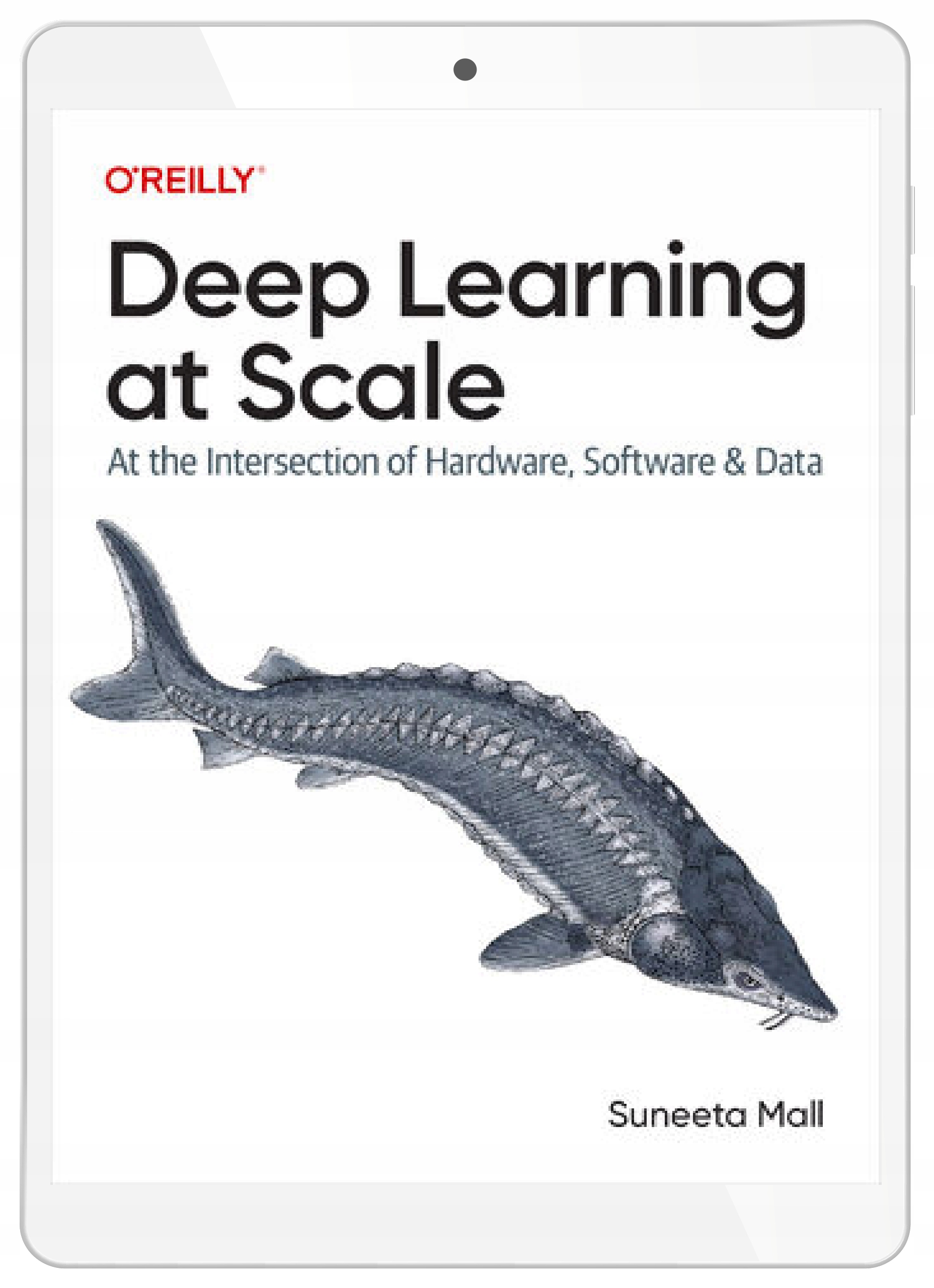 Deep Learning at Scale