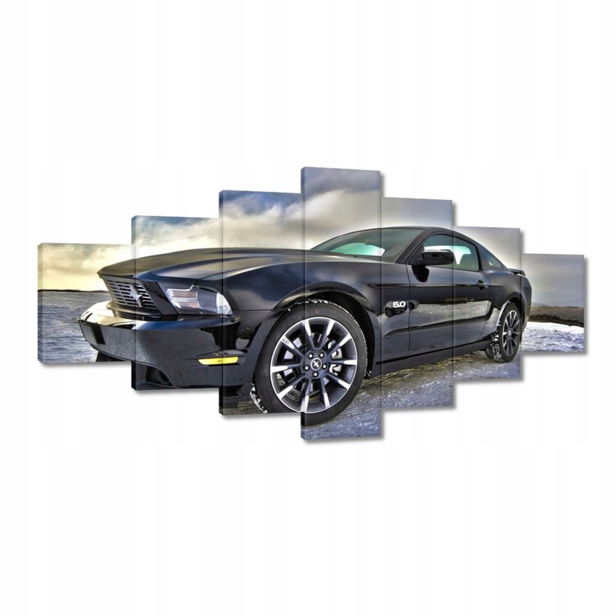 Obrazy 210x100 Ford Mustang v zimě