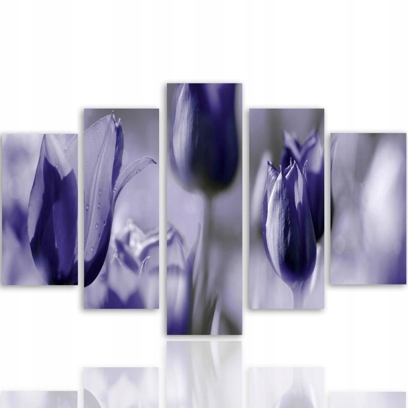 Moderní fotoobraz 5 dílů 300x140 tulipány