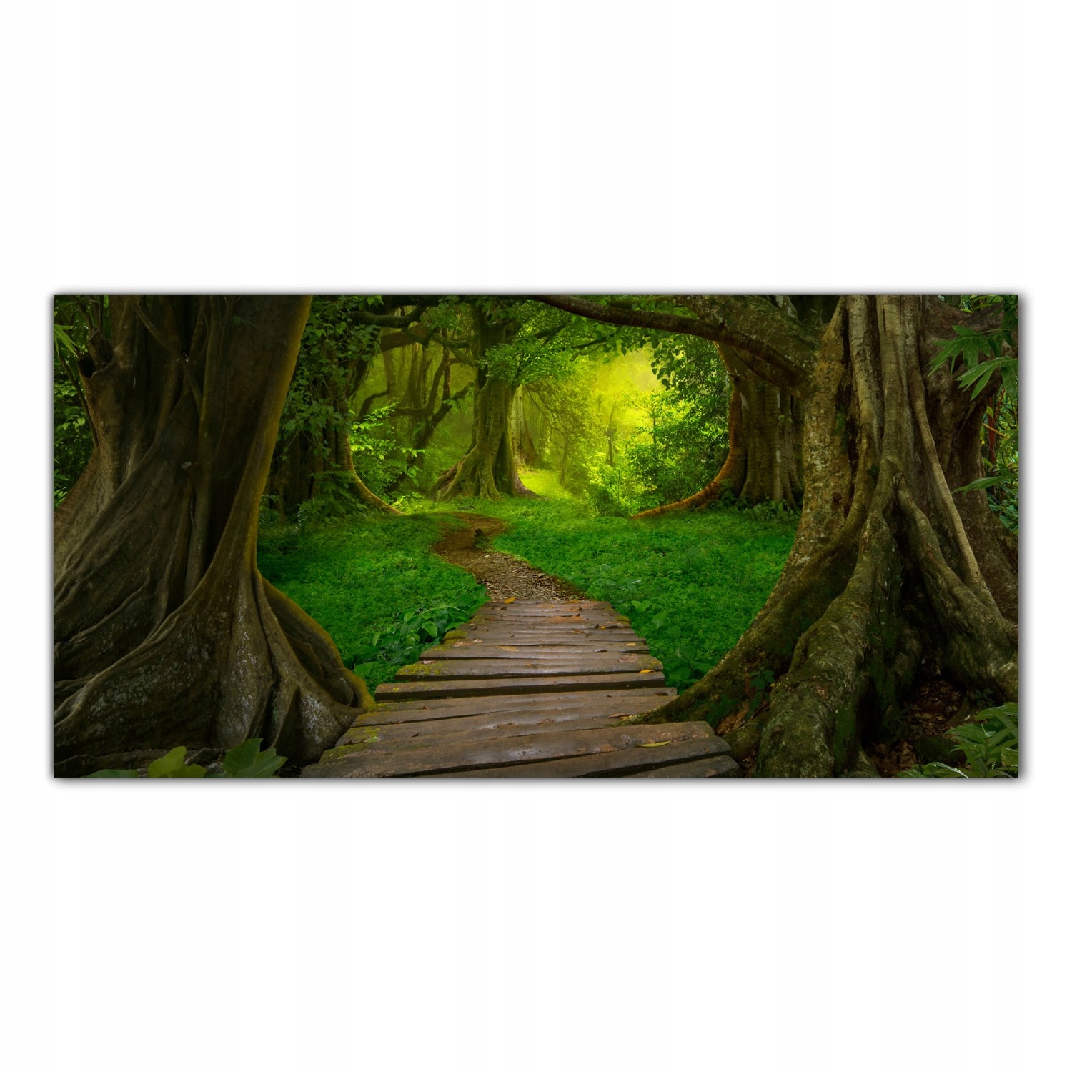 

Obraz na szkle Foto Azja Dżungla Krajobraz 100x50