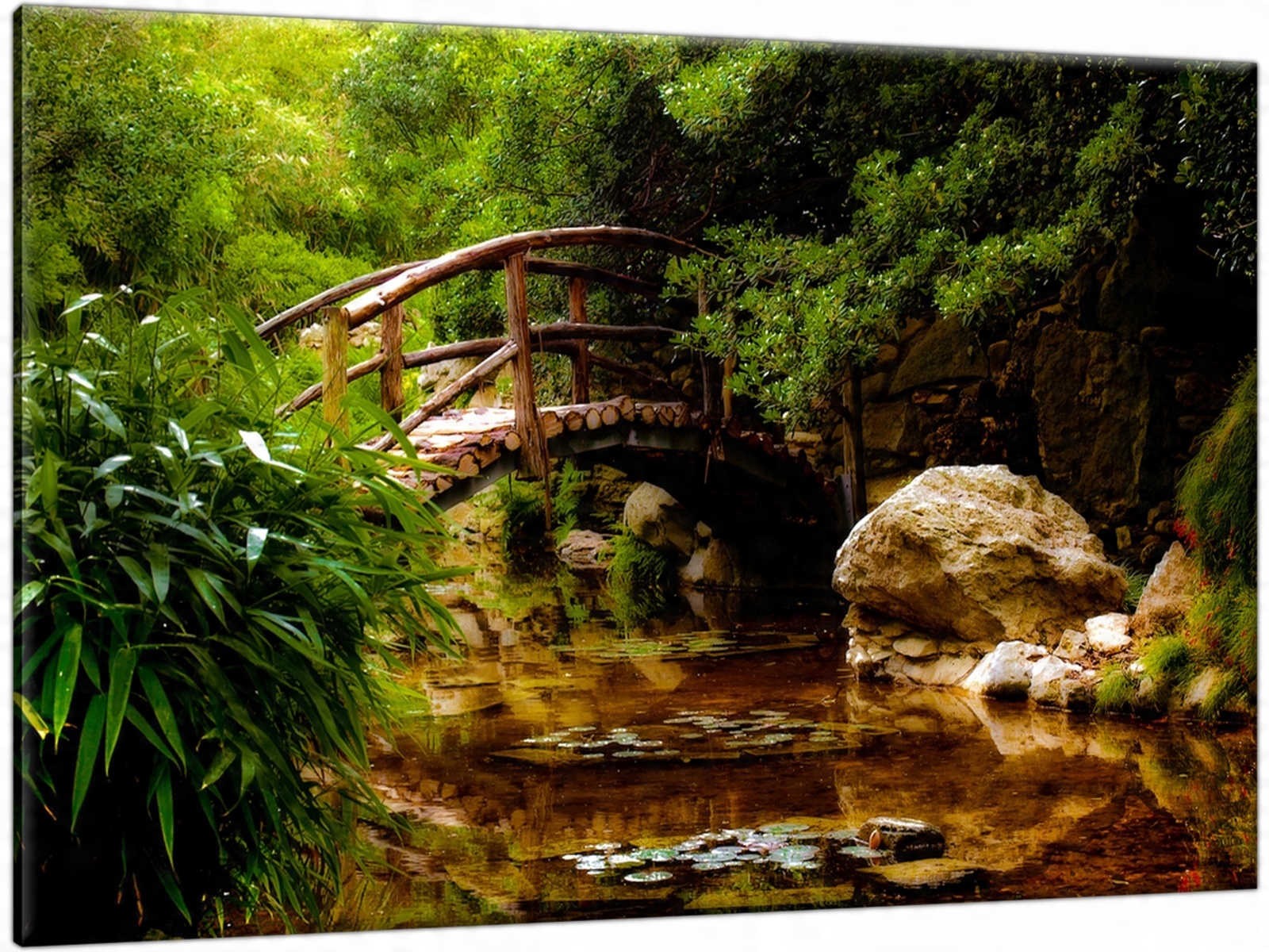 

Obraz Most Park Dżungla Las 120x80 do salonu Rzeka