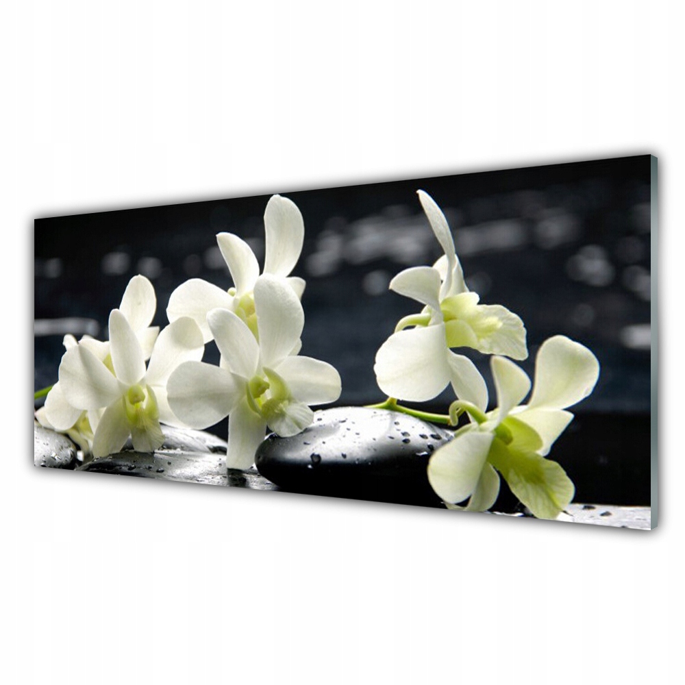 

Fotoobraz na ścianę 125x50 Kwiat Orchidea Roślina