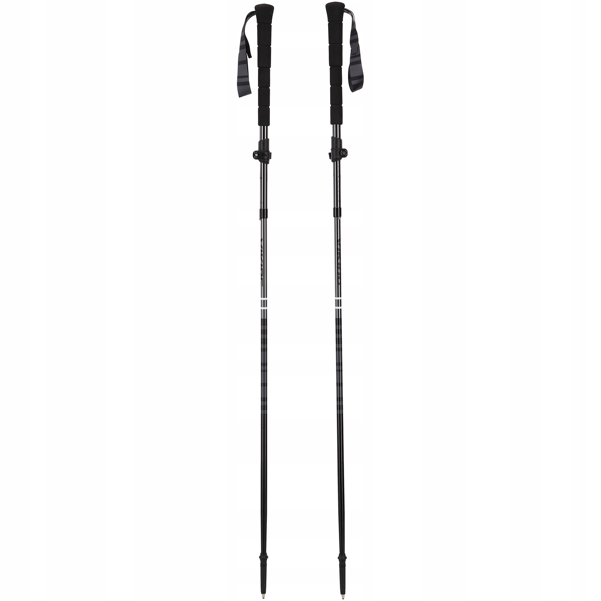 Dospělé hole Viking Kettera Pro Long Grip Trekking