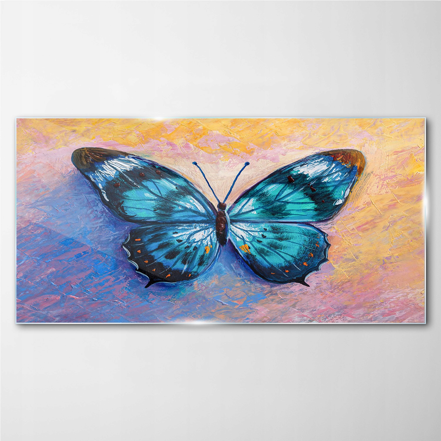 

Foto-obraz na szkle Motyl owad kolorowy 140x70 cm