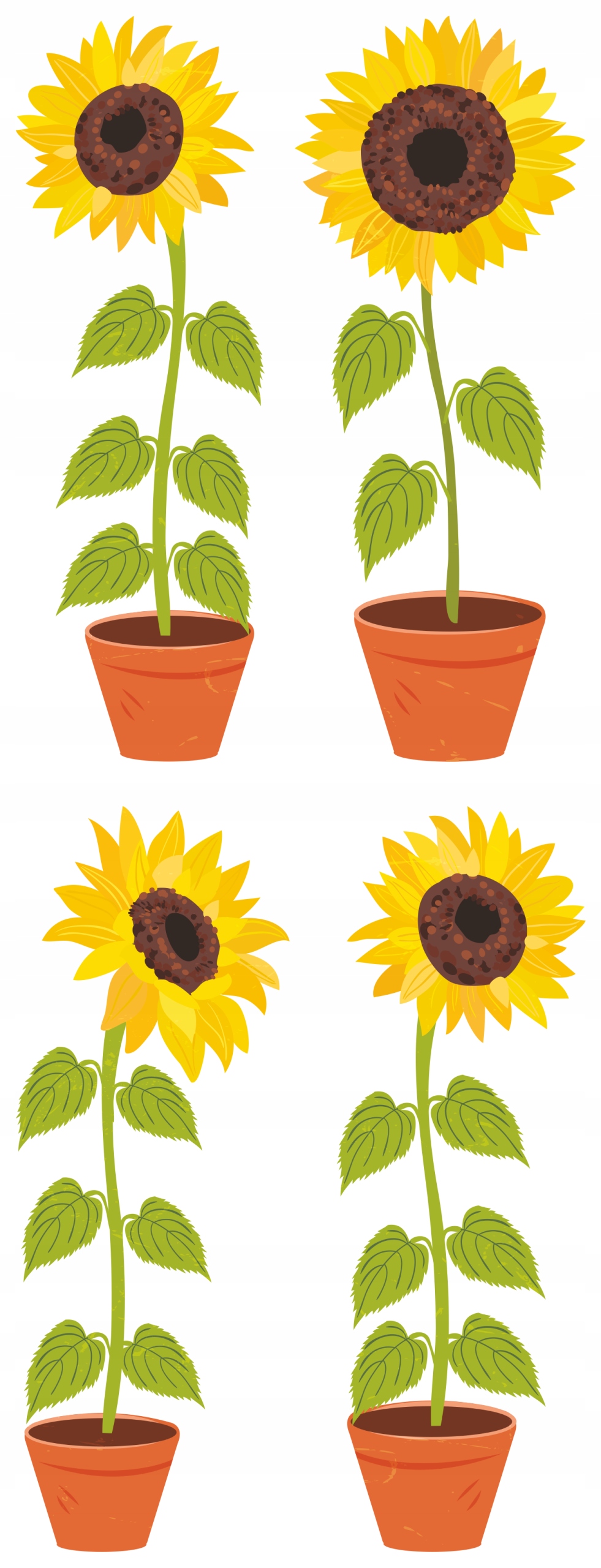 

Naklejki Na Okno Lustro Szybę Słoneczniki Kwiaty