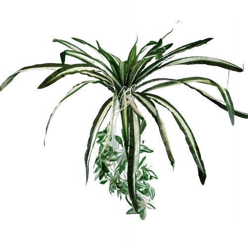 

Kwiat Sztuczny Zielistka 60 CM