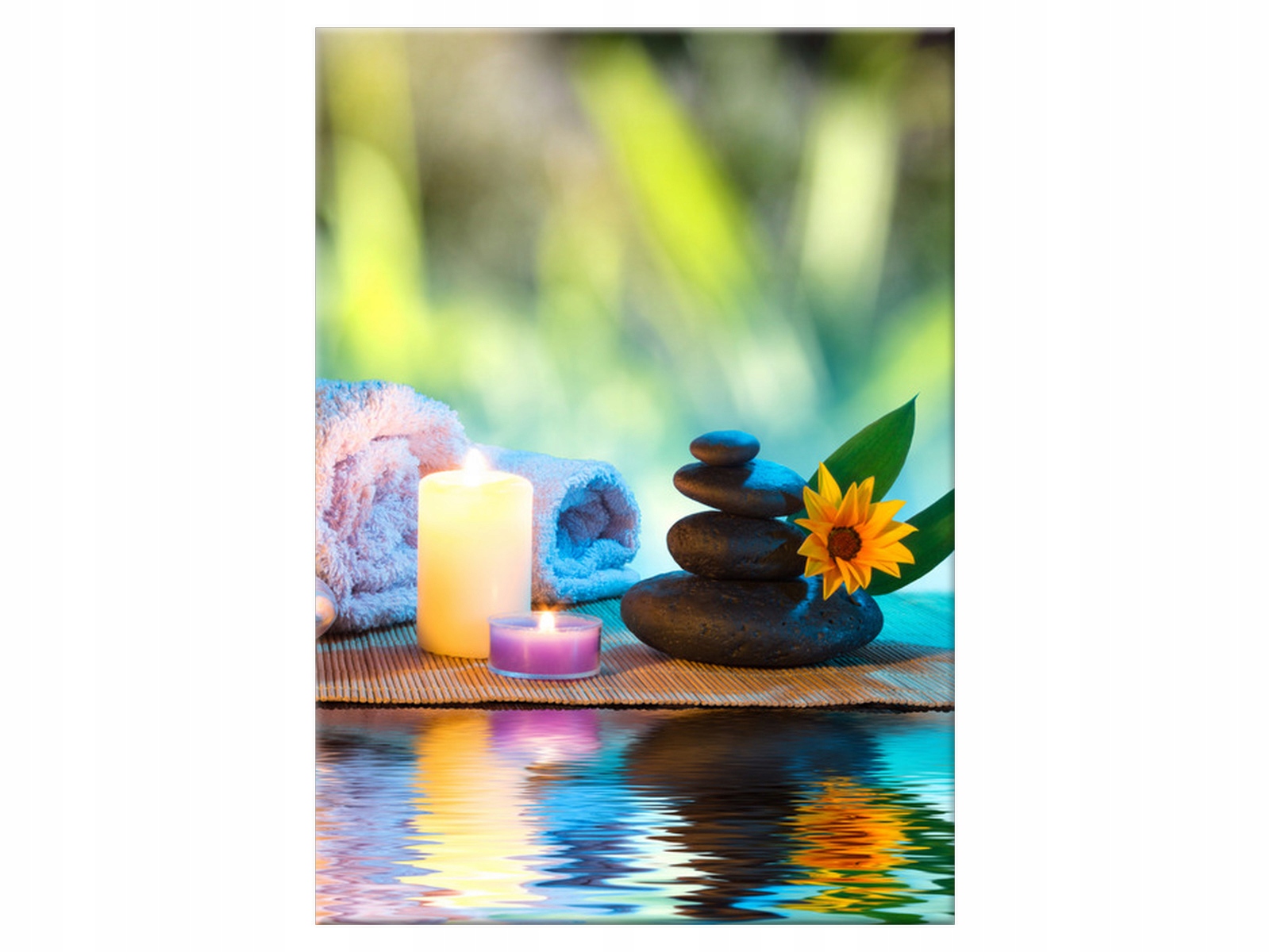 

Obraz Wystrój łazienki 50x70 Bambus Rośliny salon