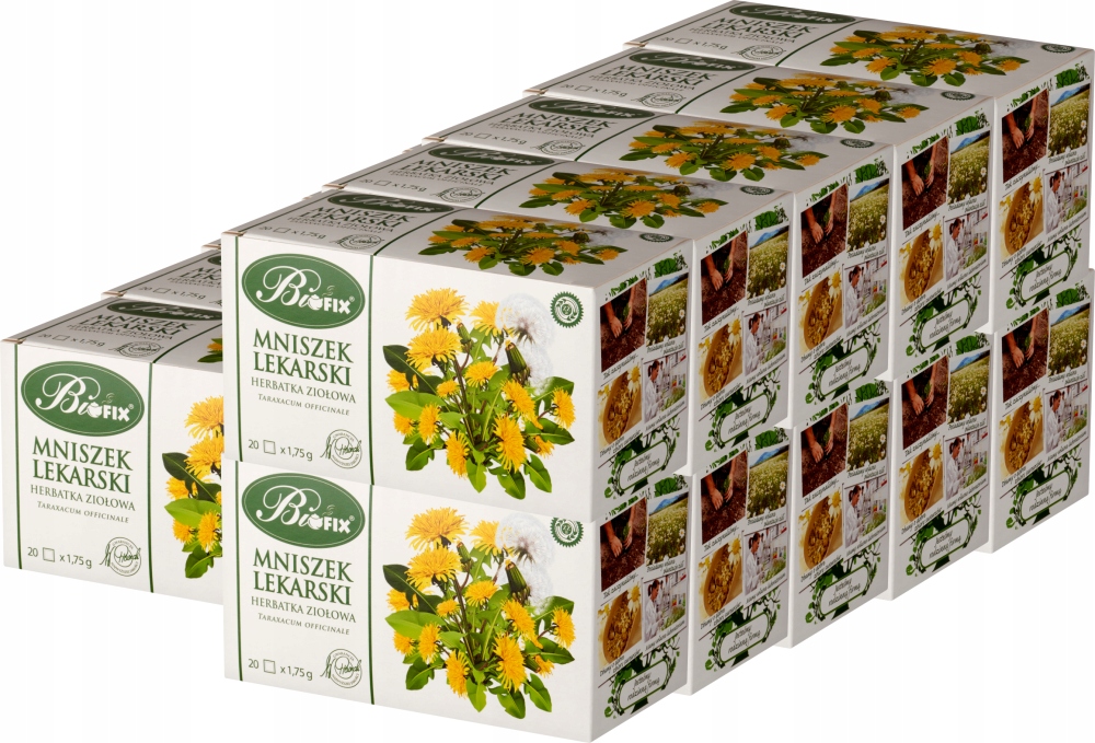 Herbata ziołowa w torebkach Bifix mniszek lekarski 20szt x15