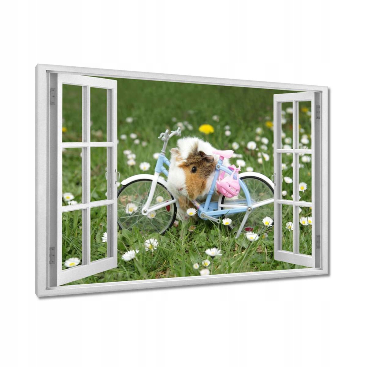 Obrazy 120x80 Morče na louce