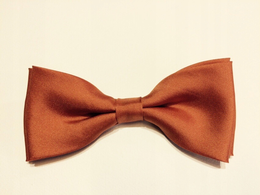 

Ceglasta Mucha Brązowa Muszka Matowa lub Połysk!!!